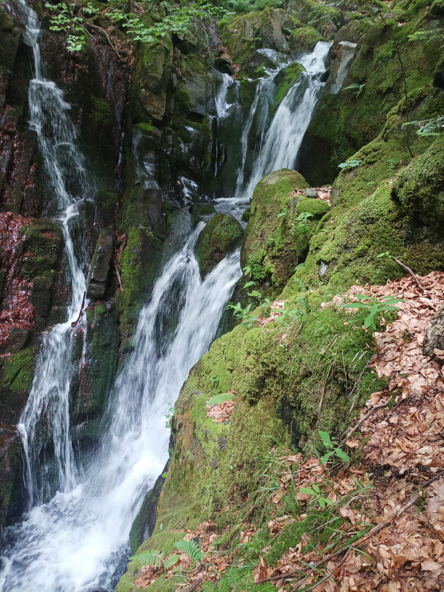 Долен Ожовишки водопад