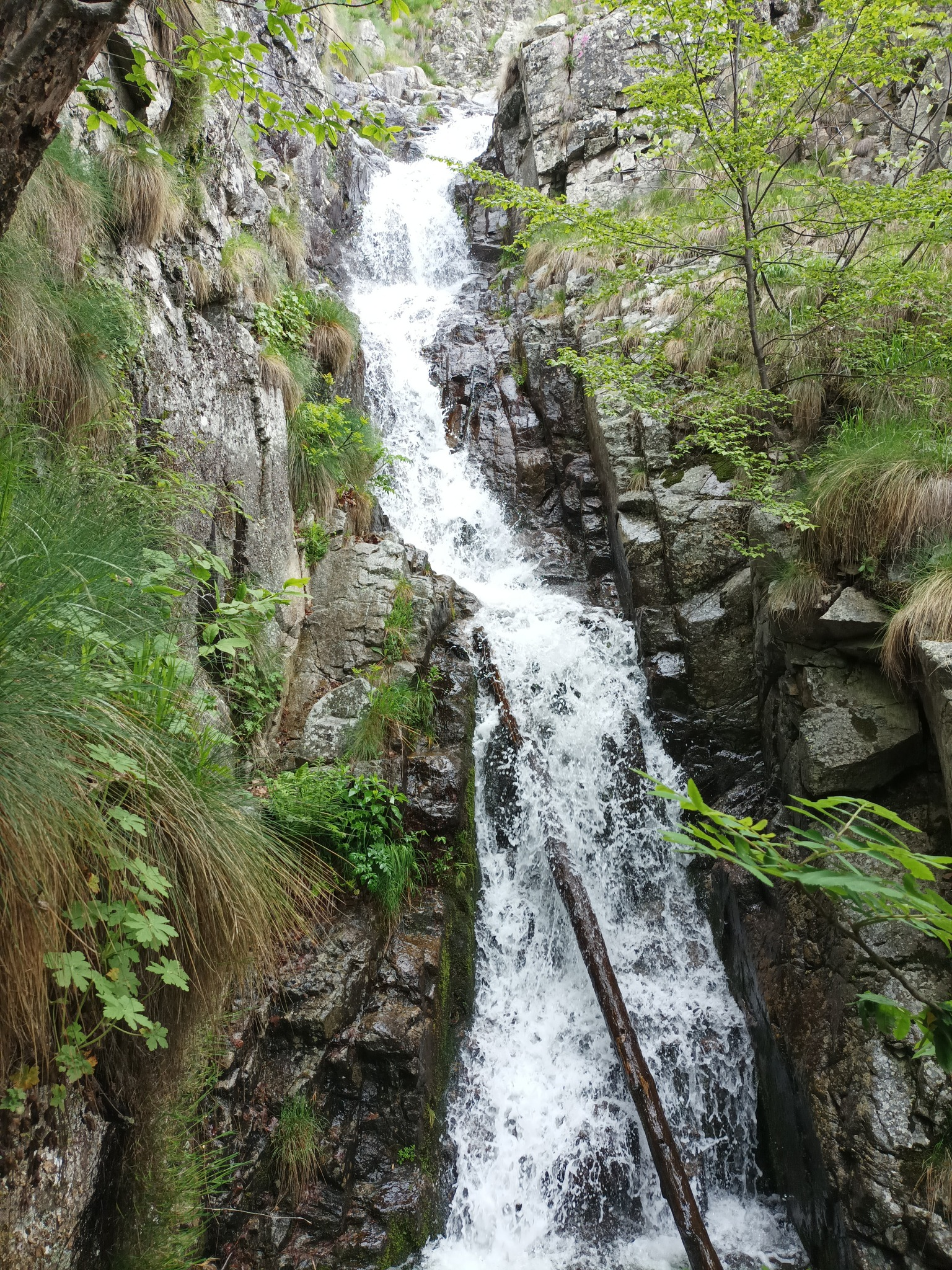 Долна каскада Татар дере