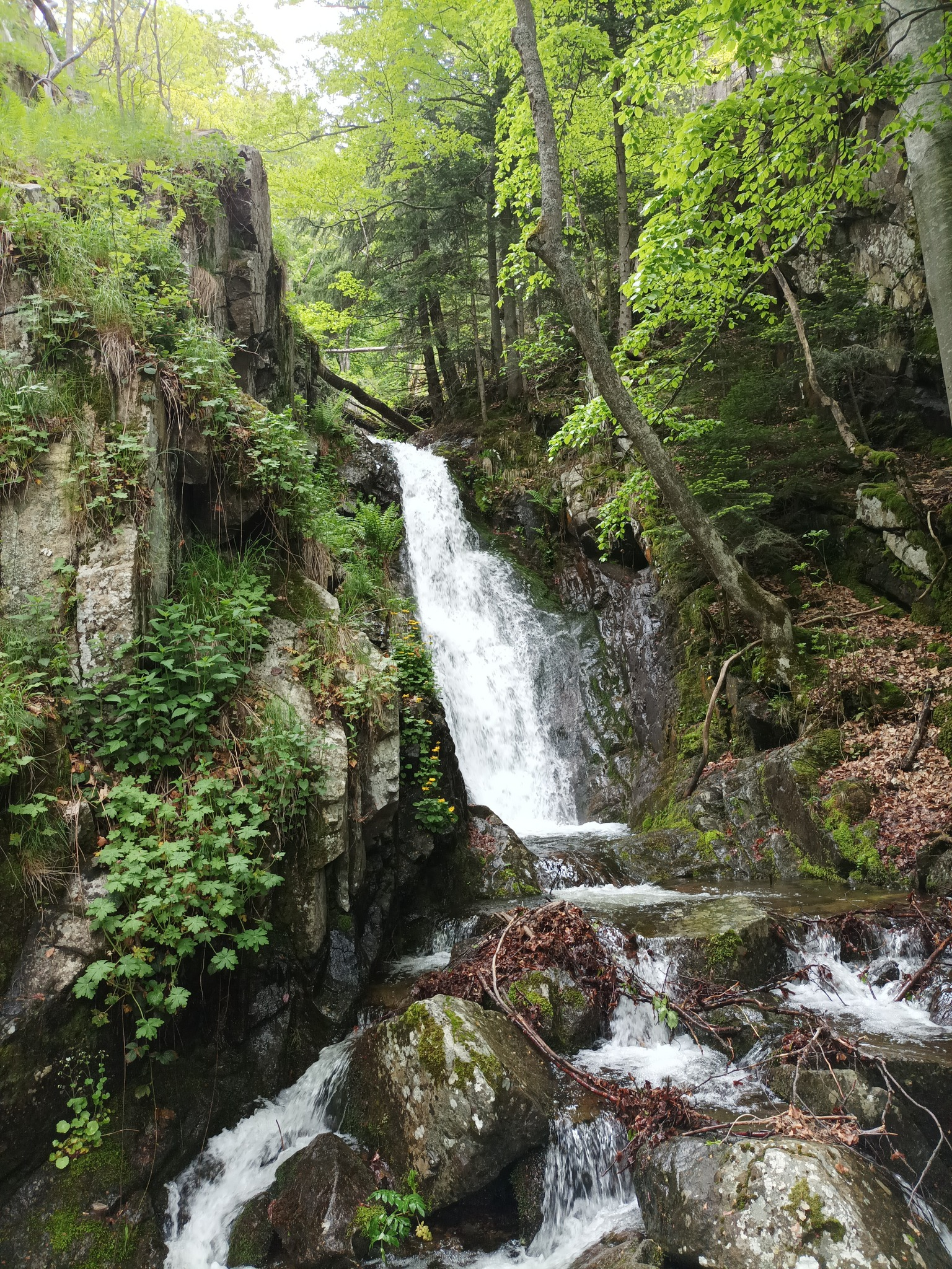 Водопад Куру дере 17