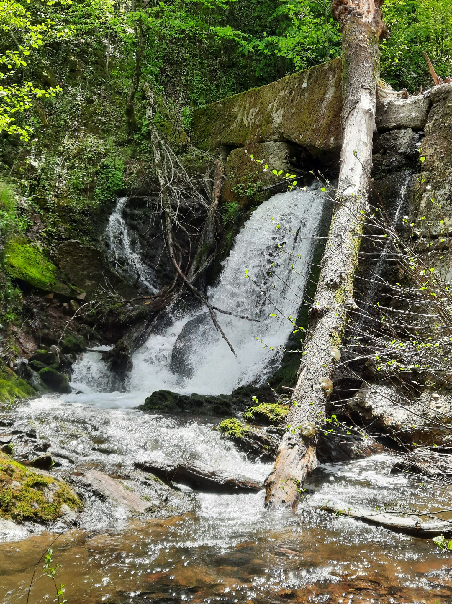 Раяновски водопад