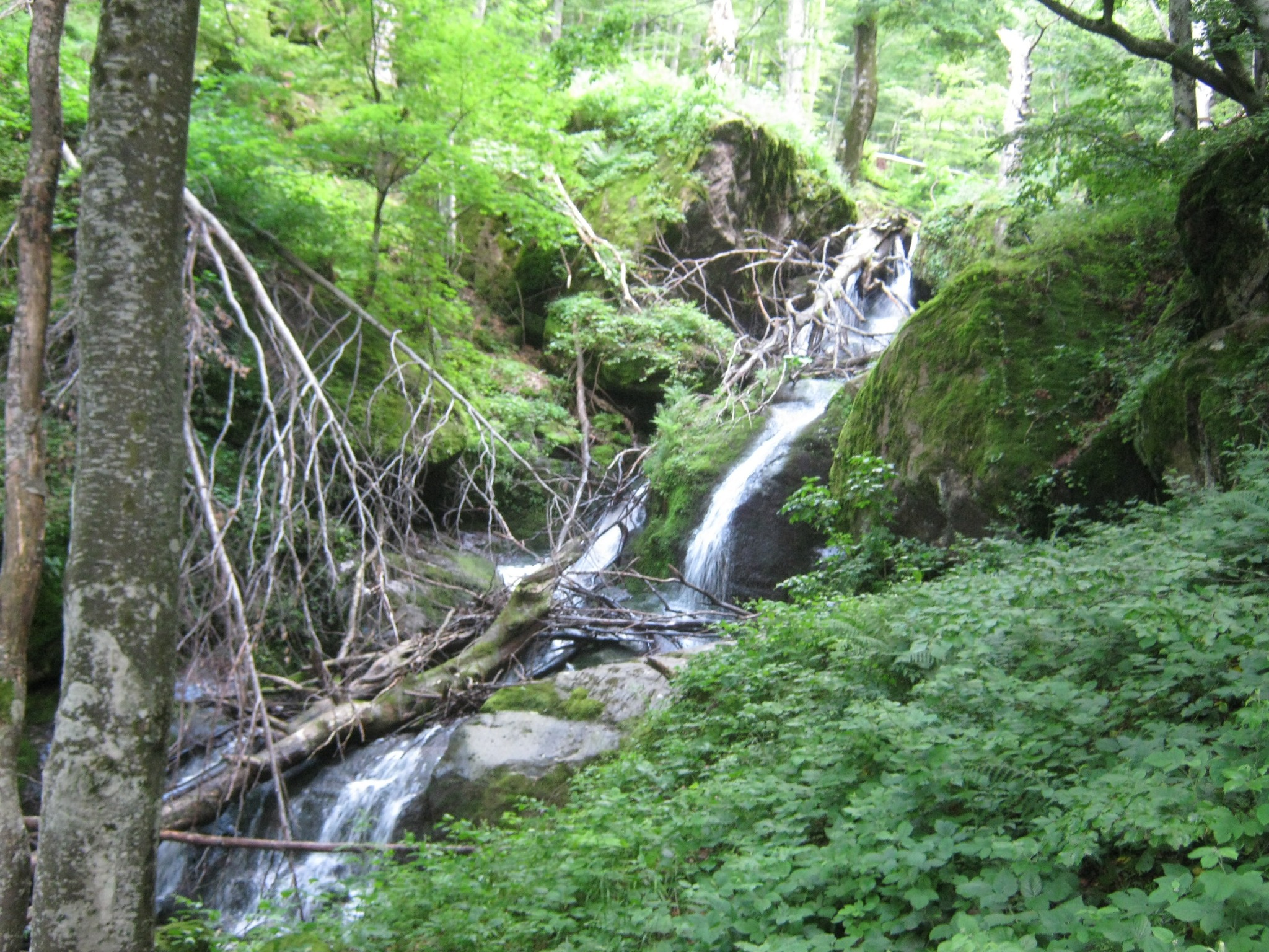 Водопад Збек 3