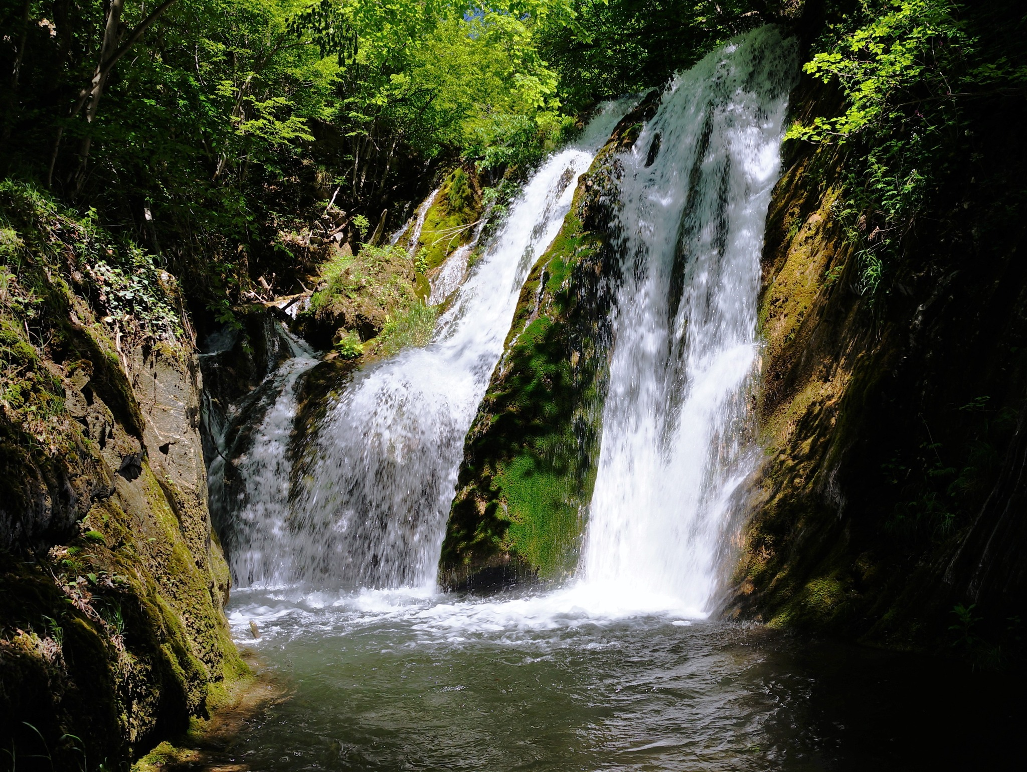 Малкия скок(Медвен)