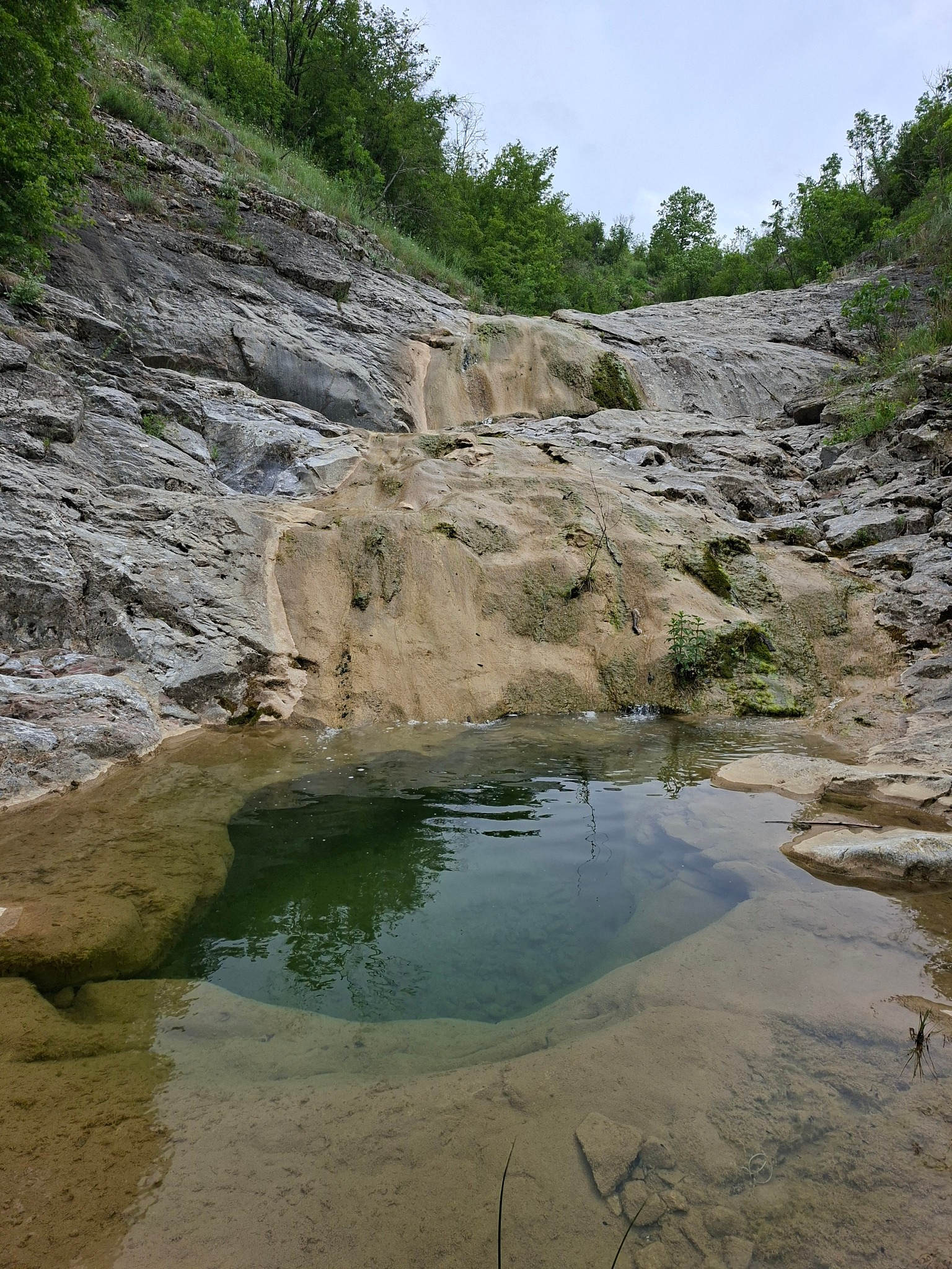 Долен праг Коджакая дереси