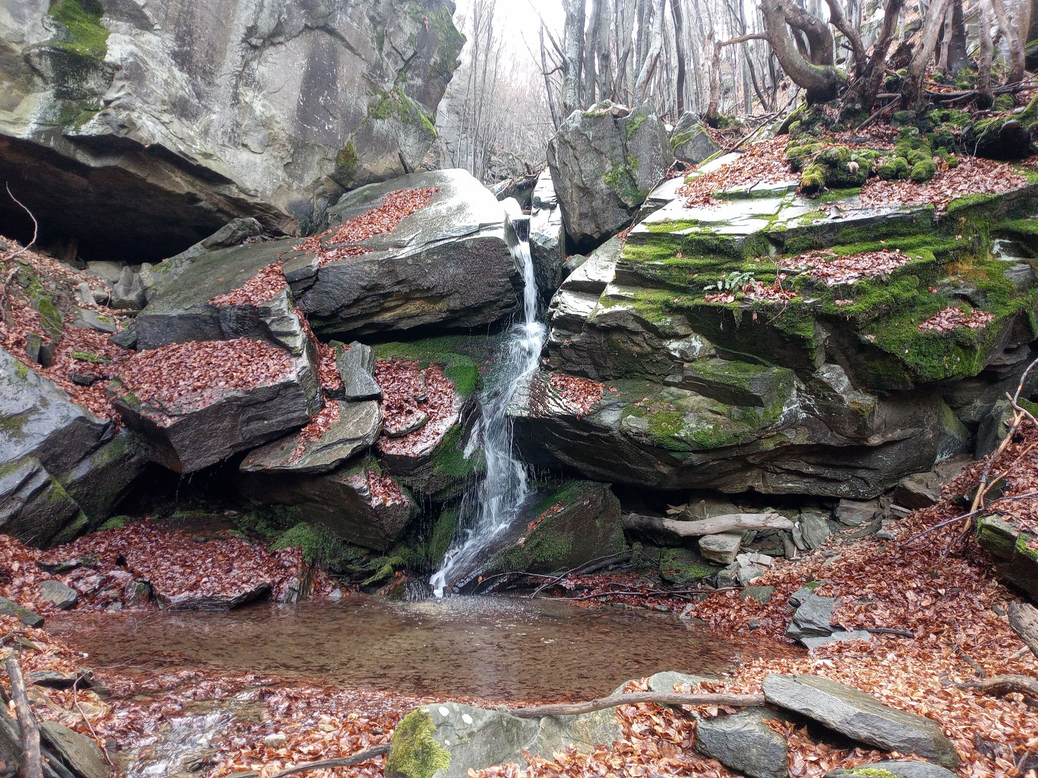 Водопад ляв приток Пепелашка