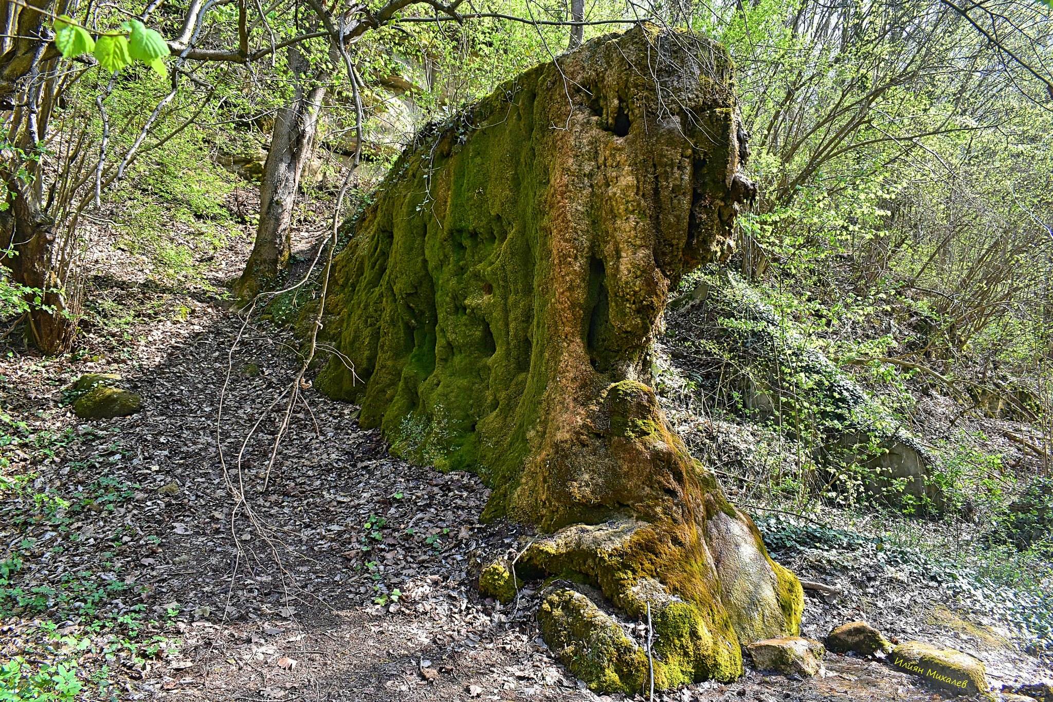 Водопад Гърбавата чешма
