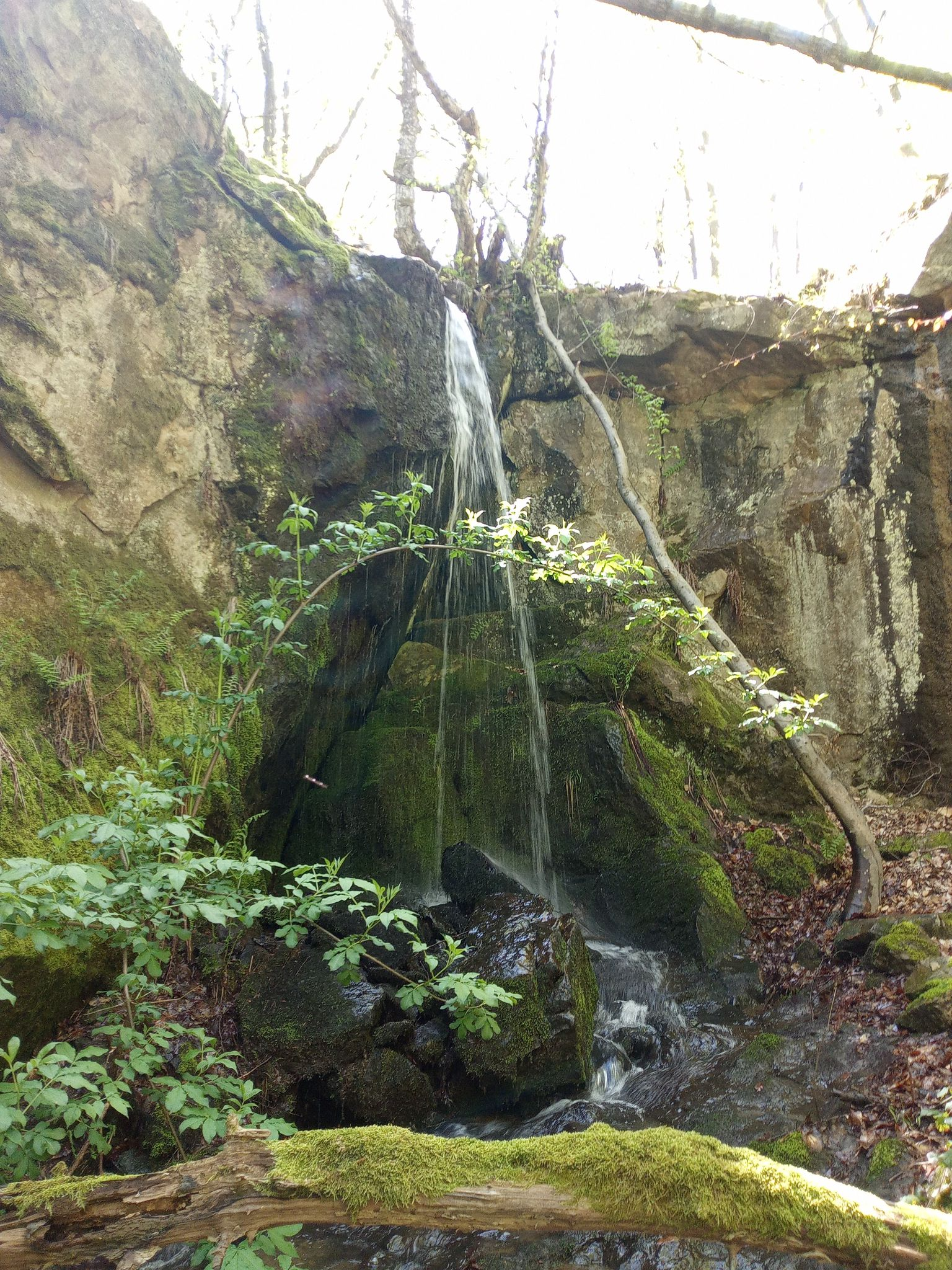 Водопад Долно Сеньово