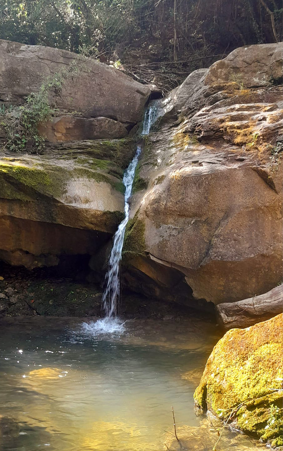 Чекотински водопад