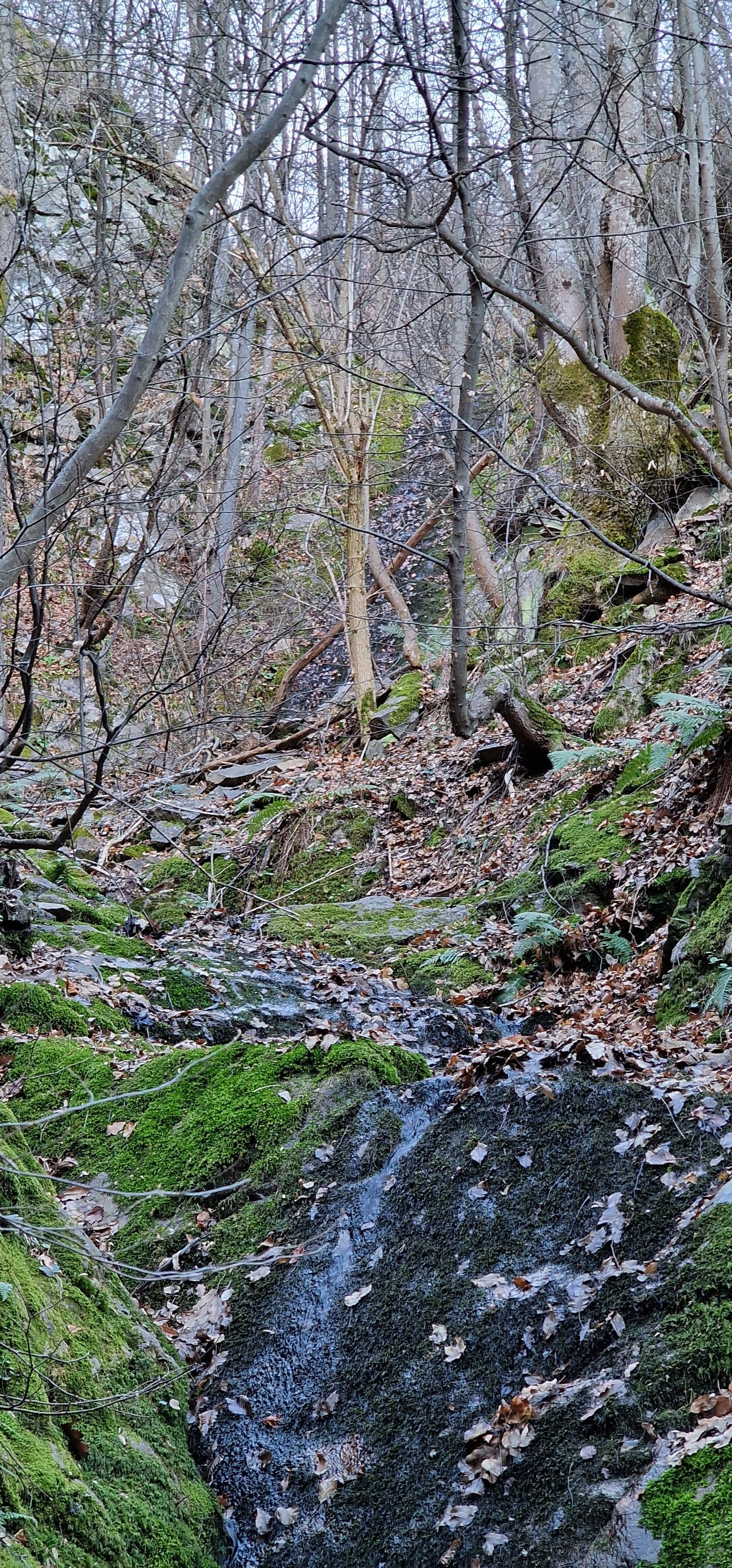 Сухия водопад Големия скок
