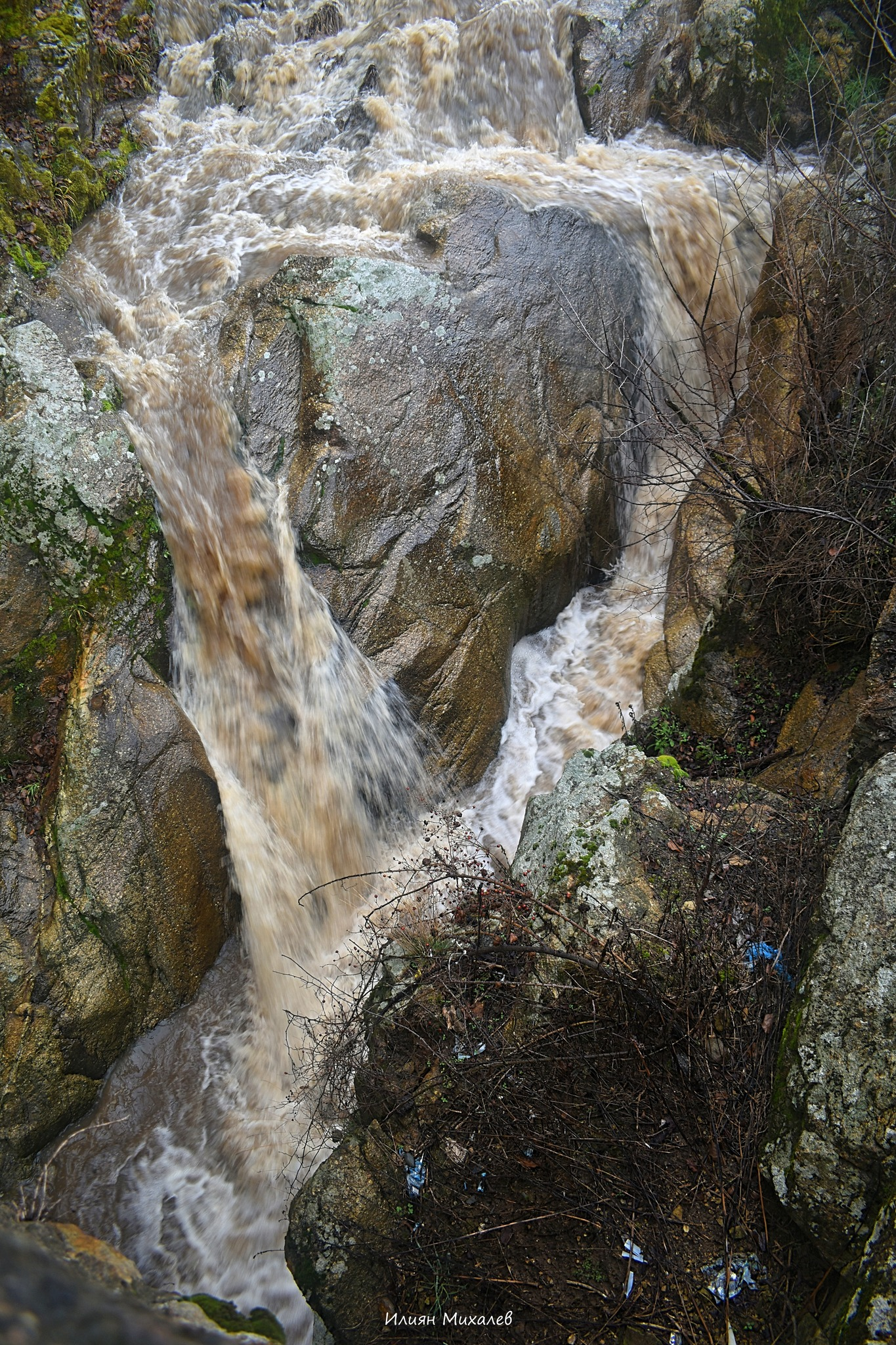 Скока(Турия)