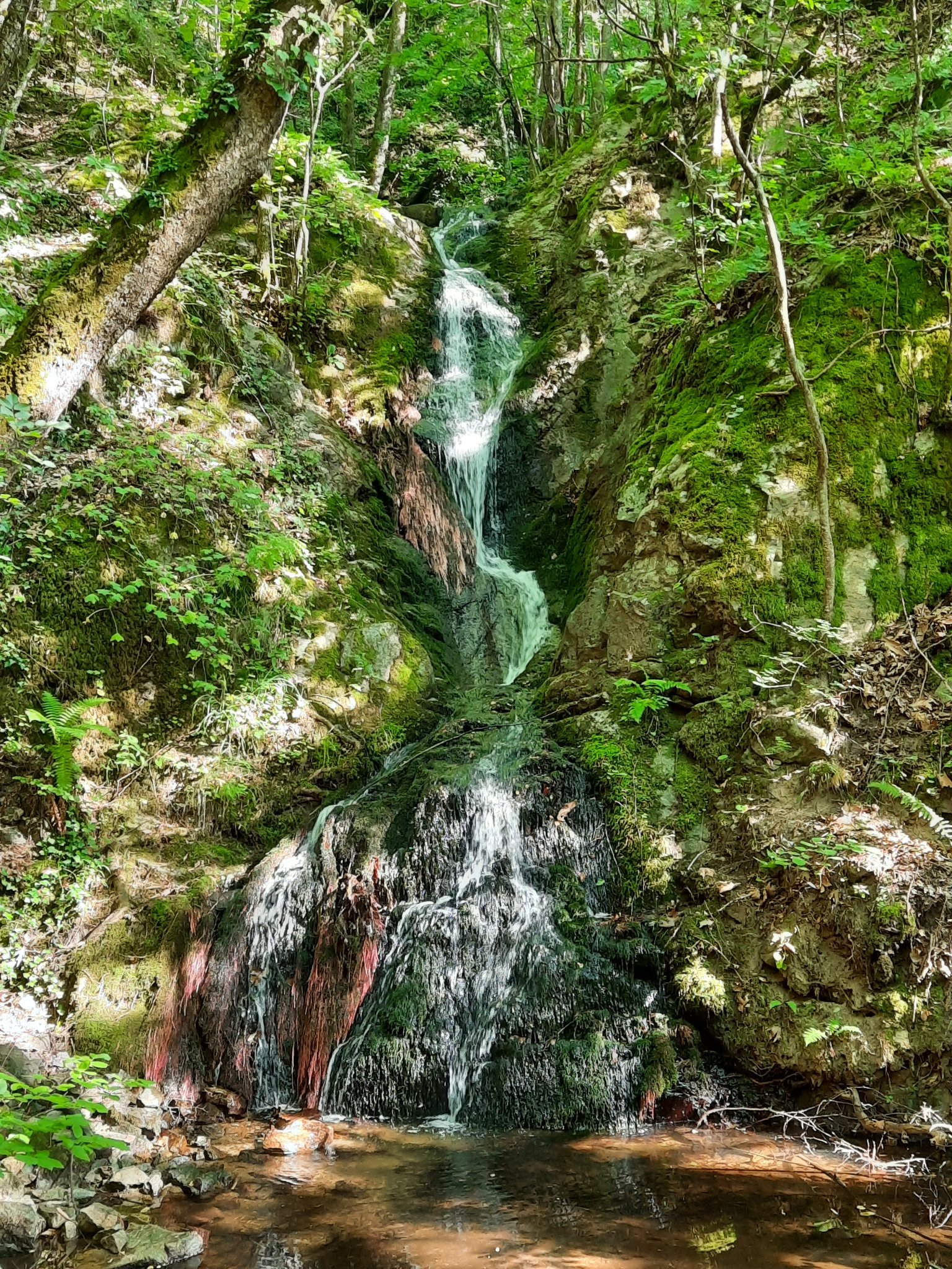 Водопад Дъбицата