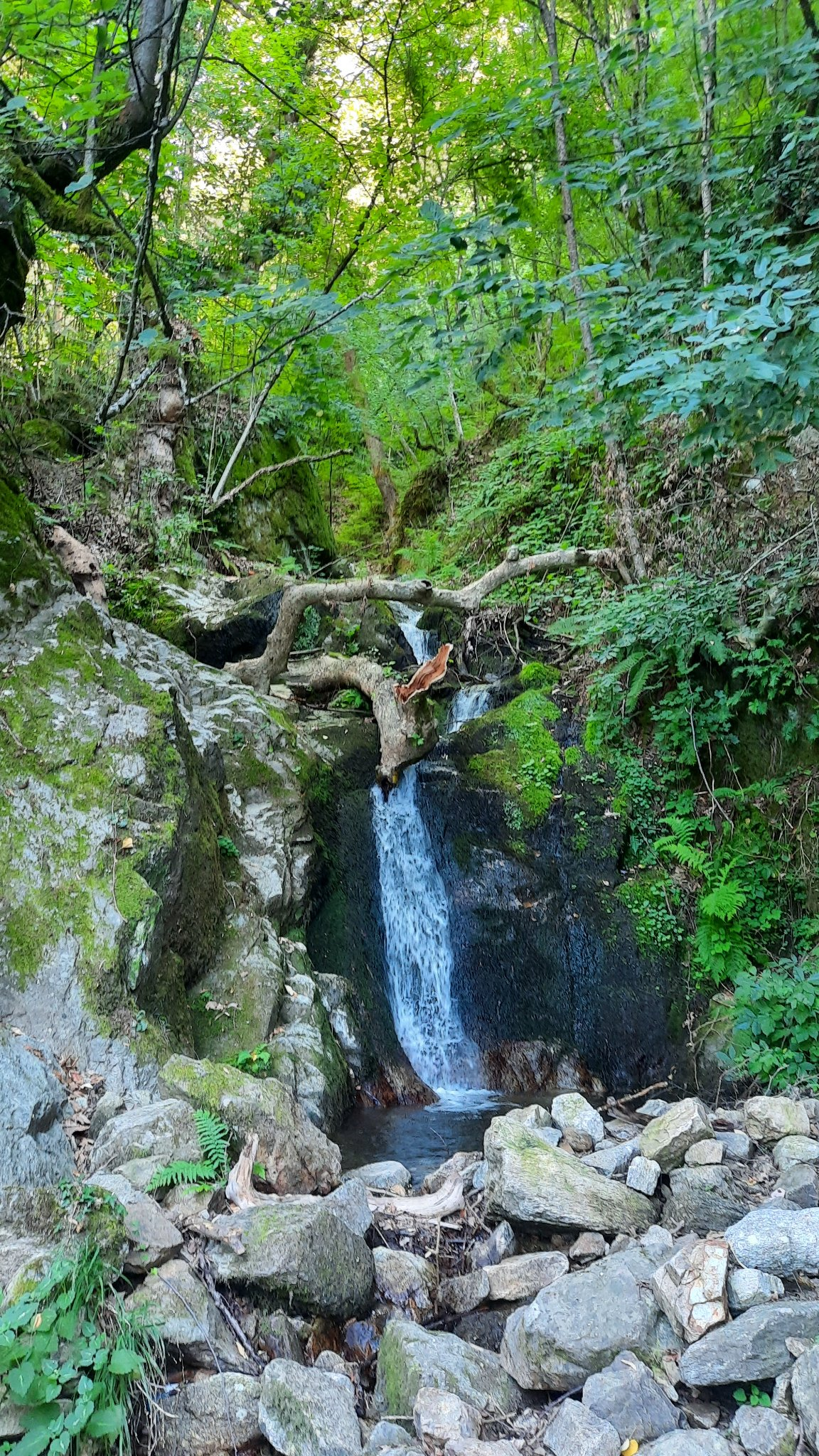 Водопад Свиговица