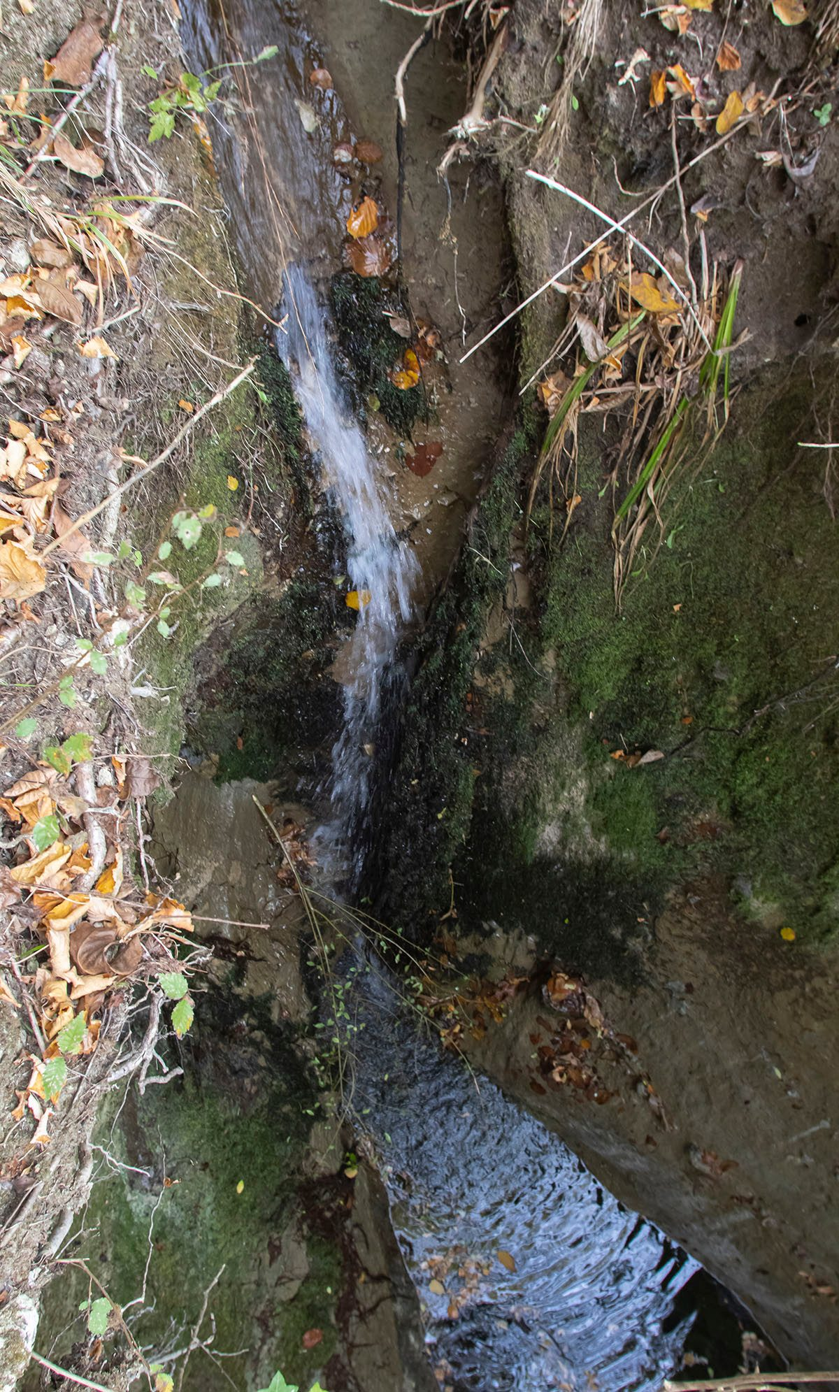 Водопад Гопи