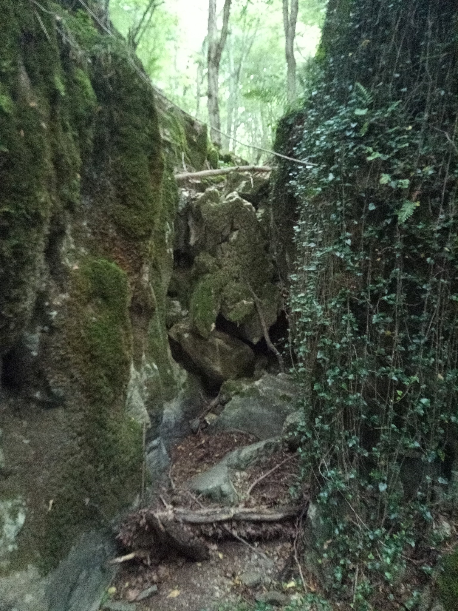 Водопад Двата вриса