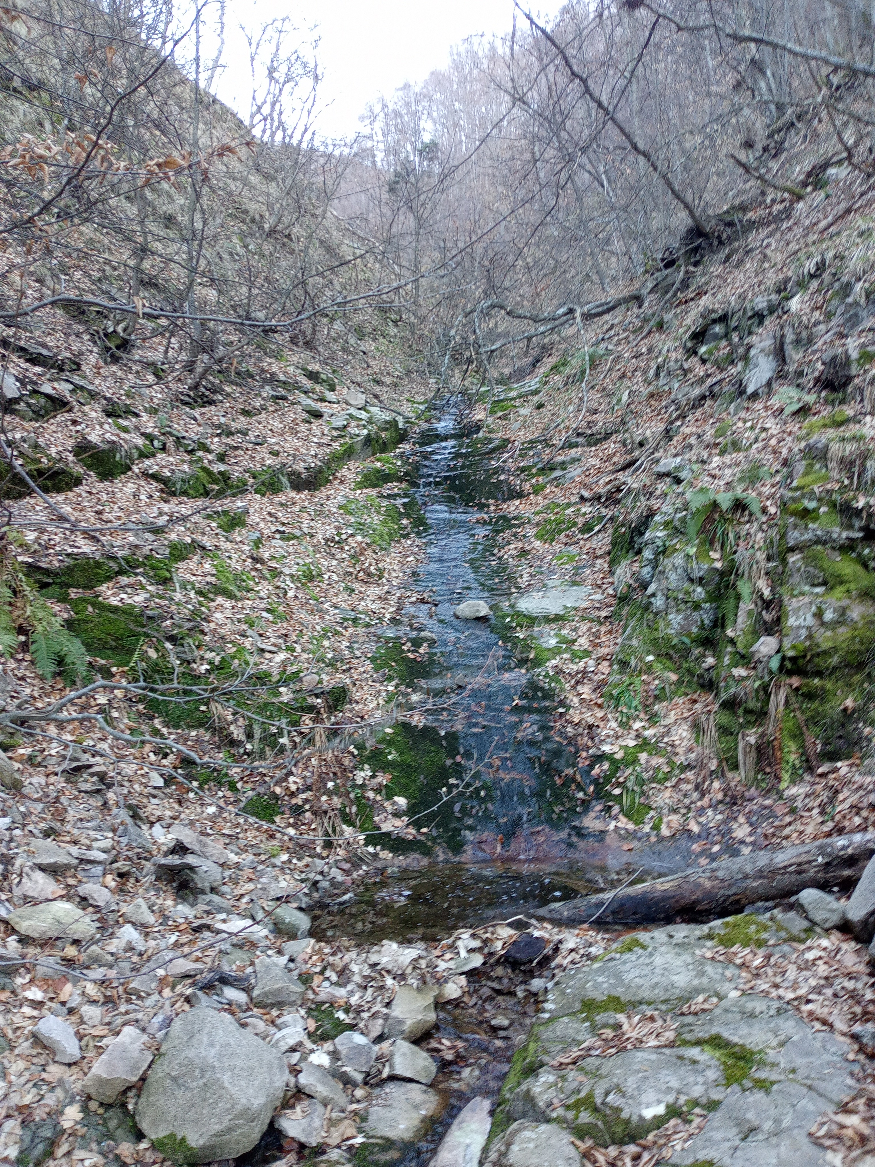 Пързалка Дюдекюприя 5 