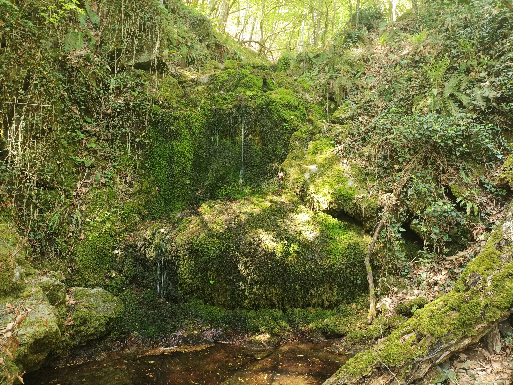 Водопад ляв приток Грахиловски дол