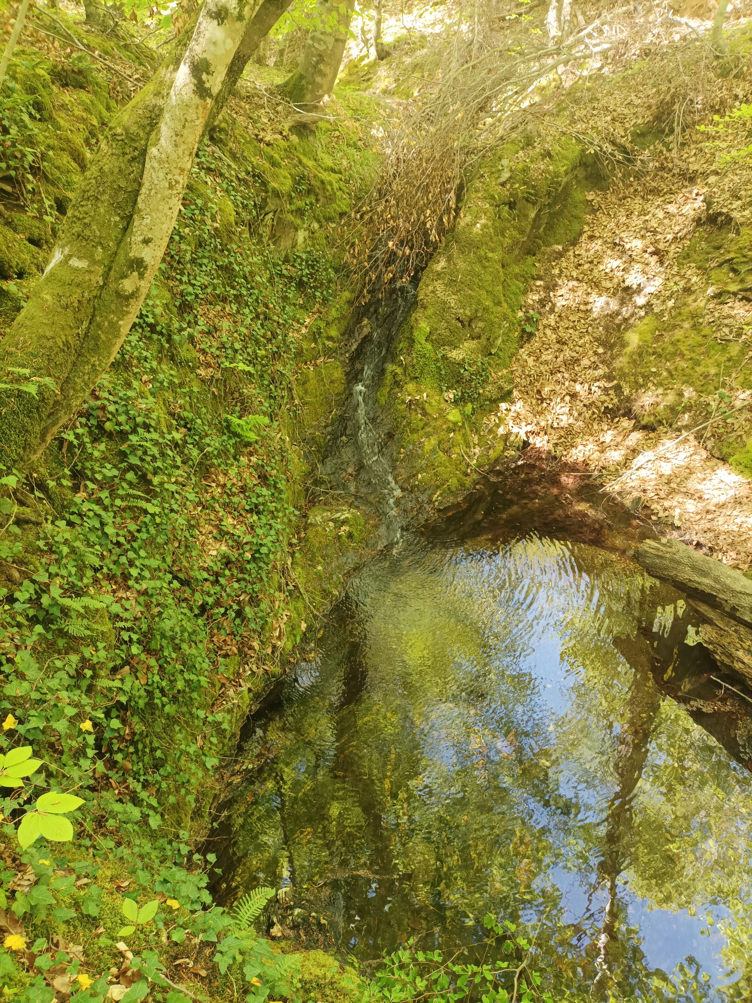 Водопад Бялково