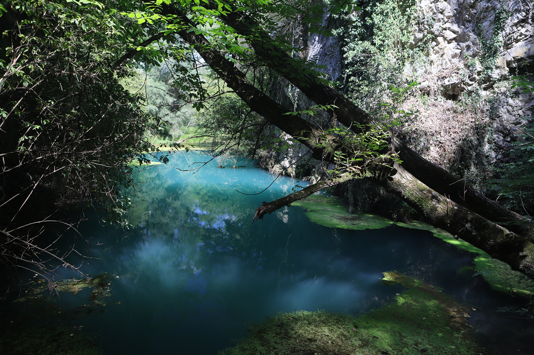 Глава Панега