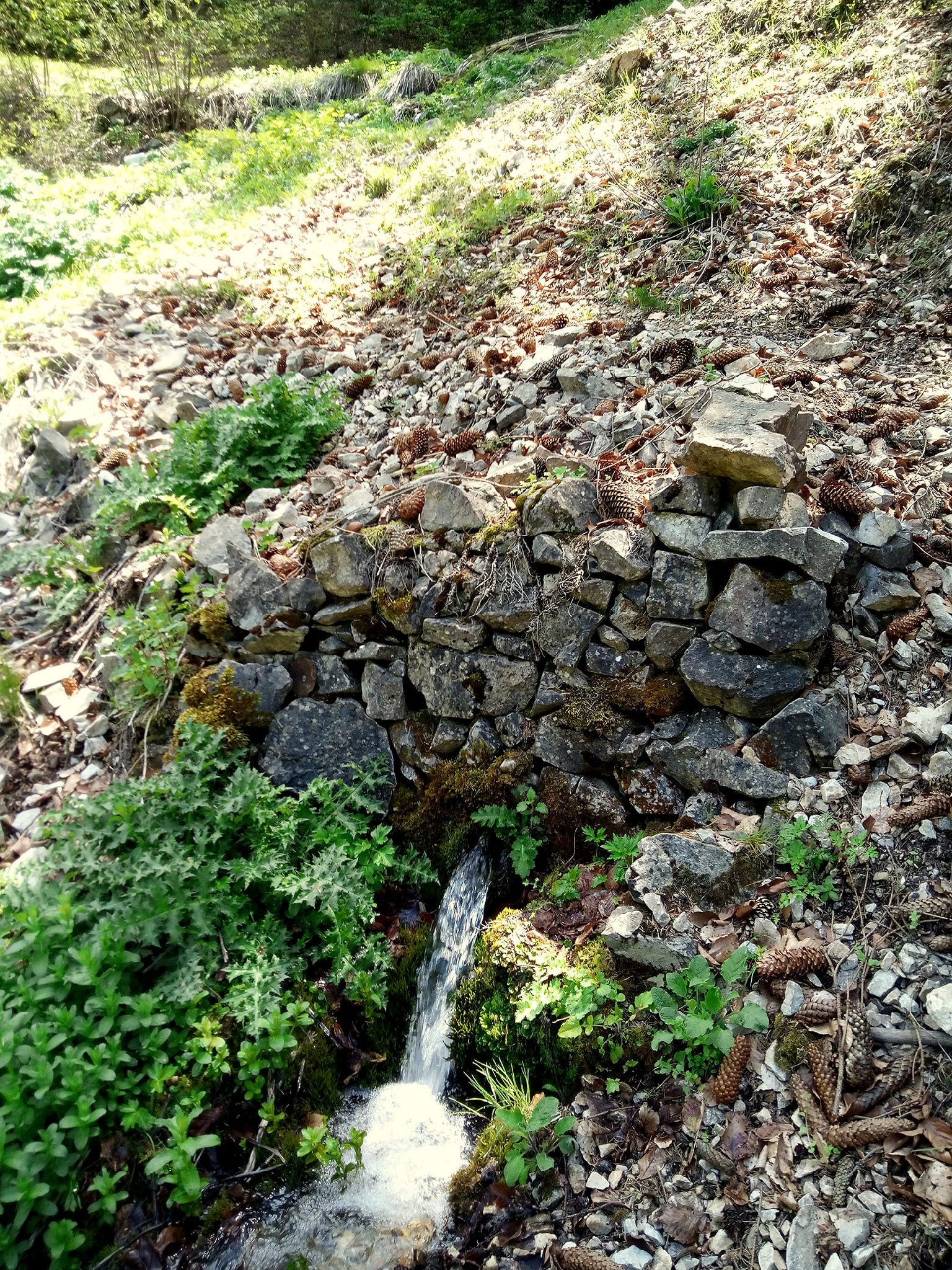 Белия извор Долен