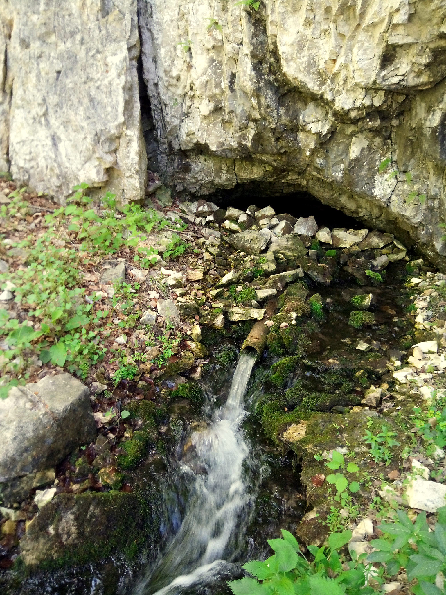 Белия извор Горен