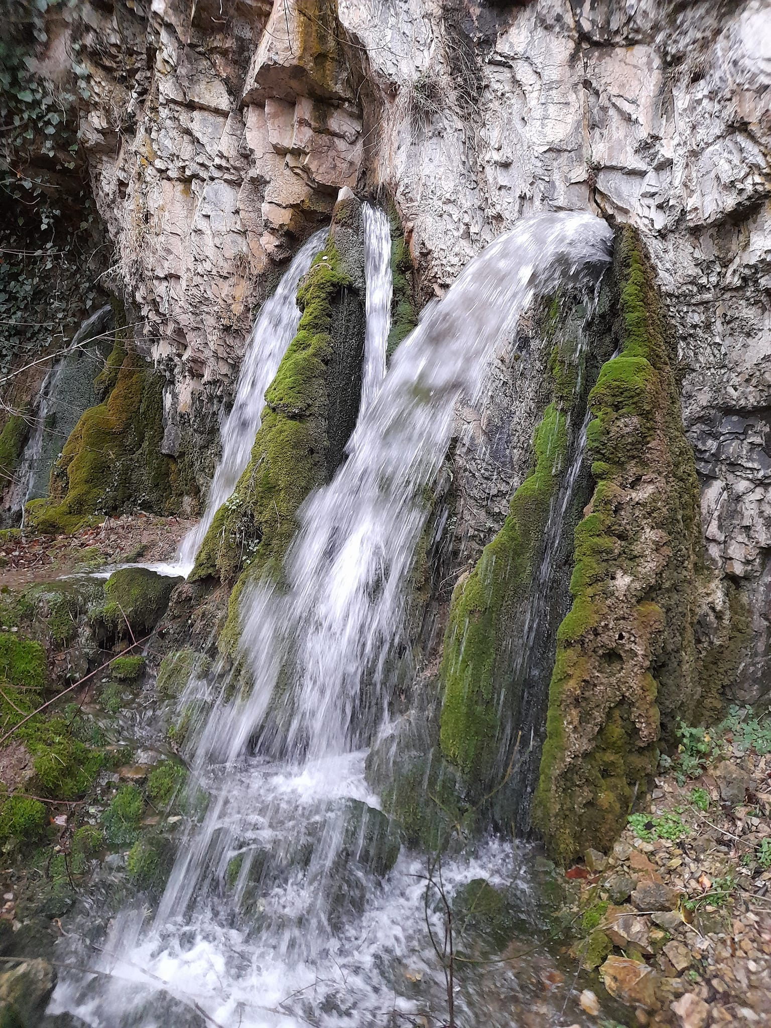 Извори Брезенска река