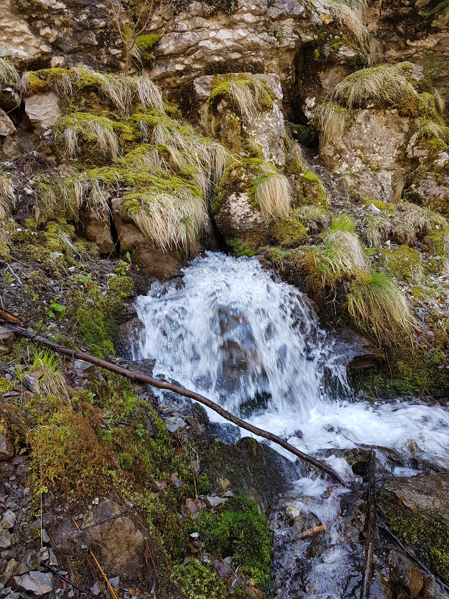 Извор Кадемлийско дере 1