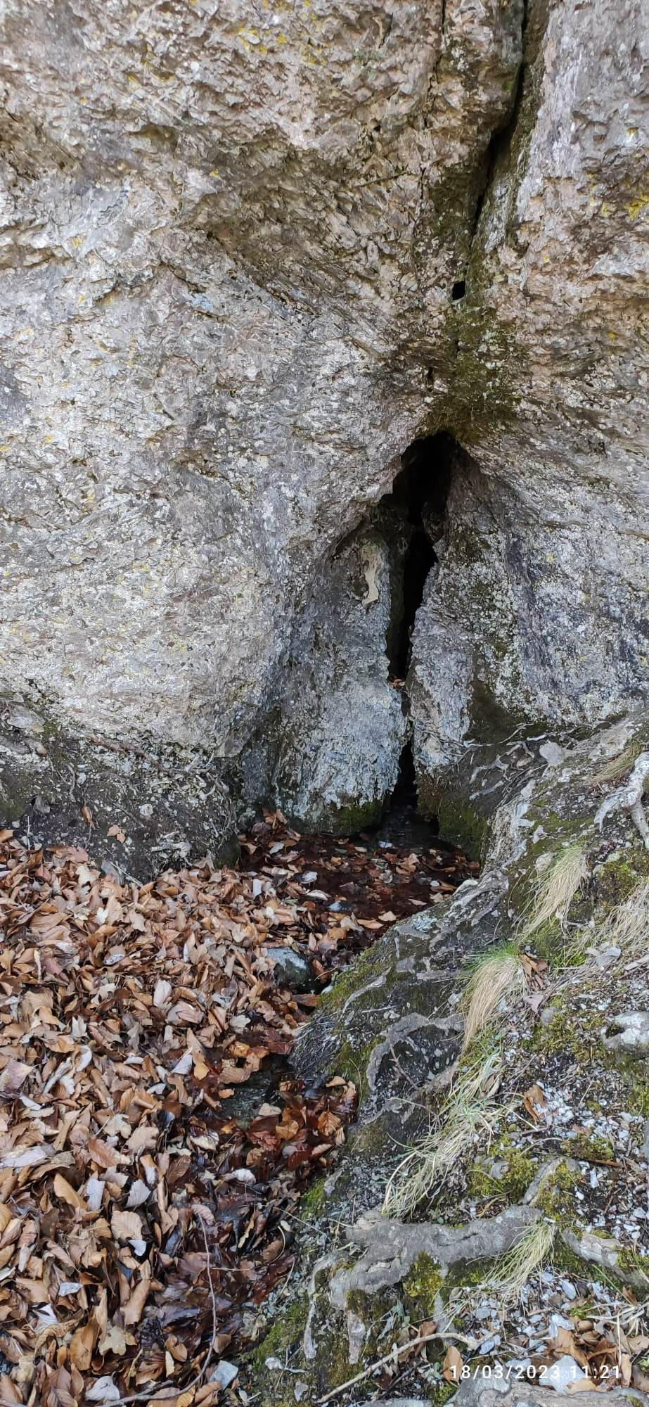 Извор Архангела