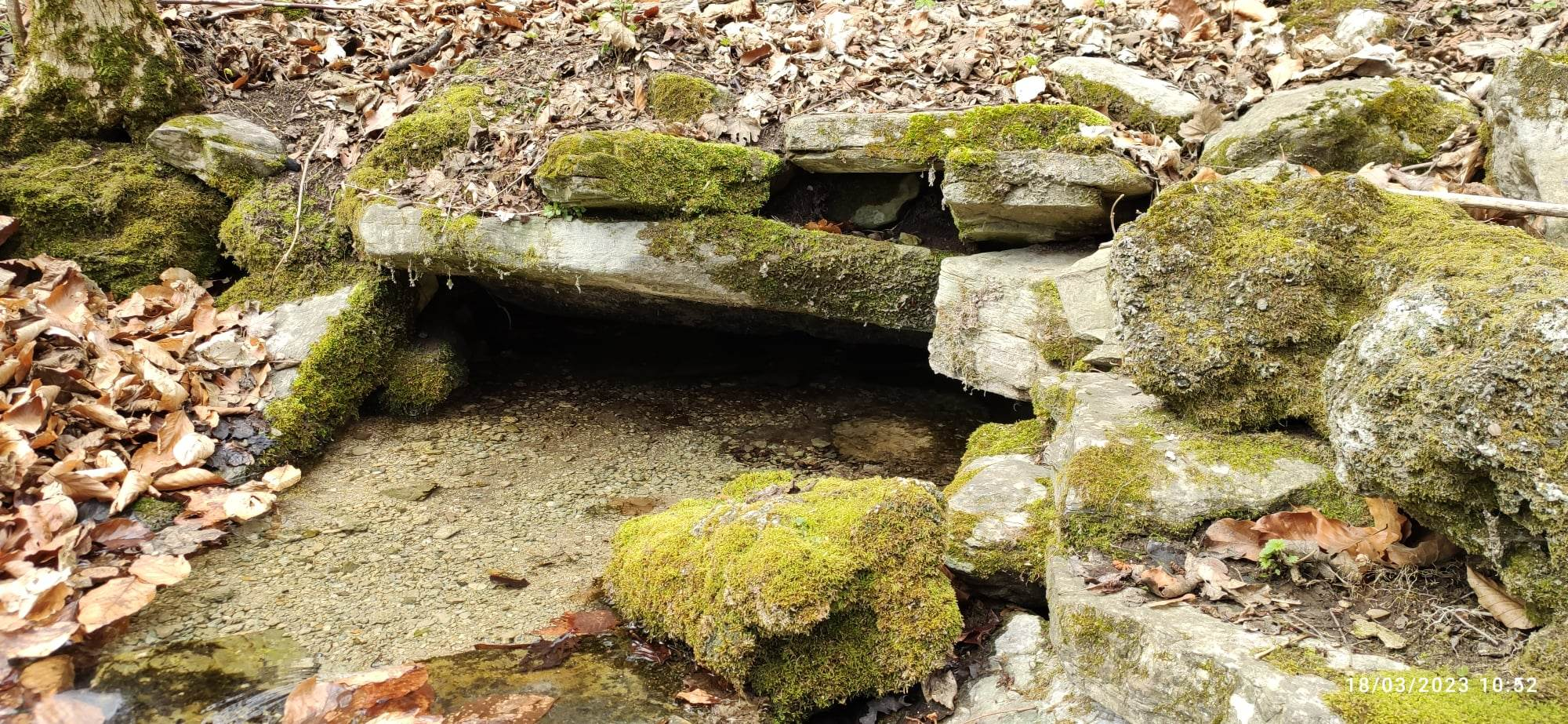 Извор Хайдушки дол