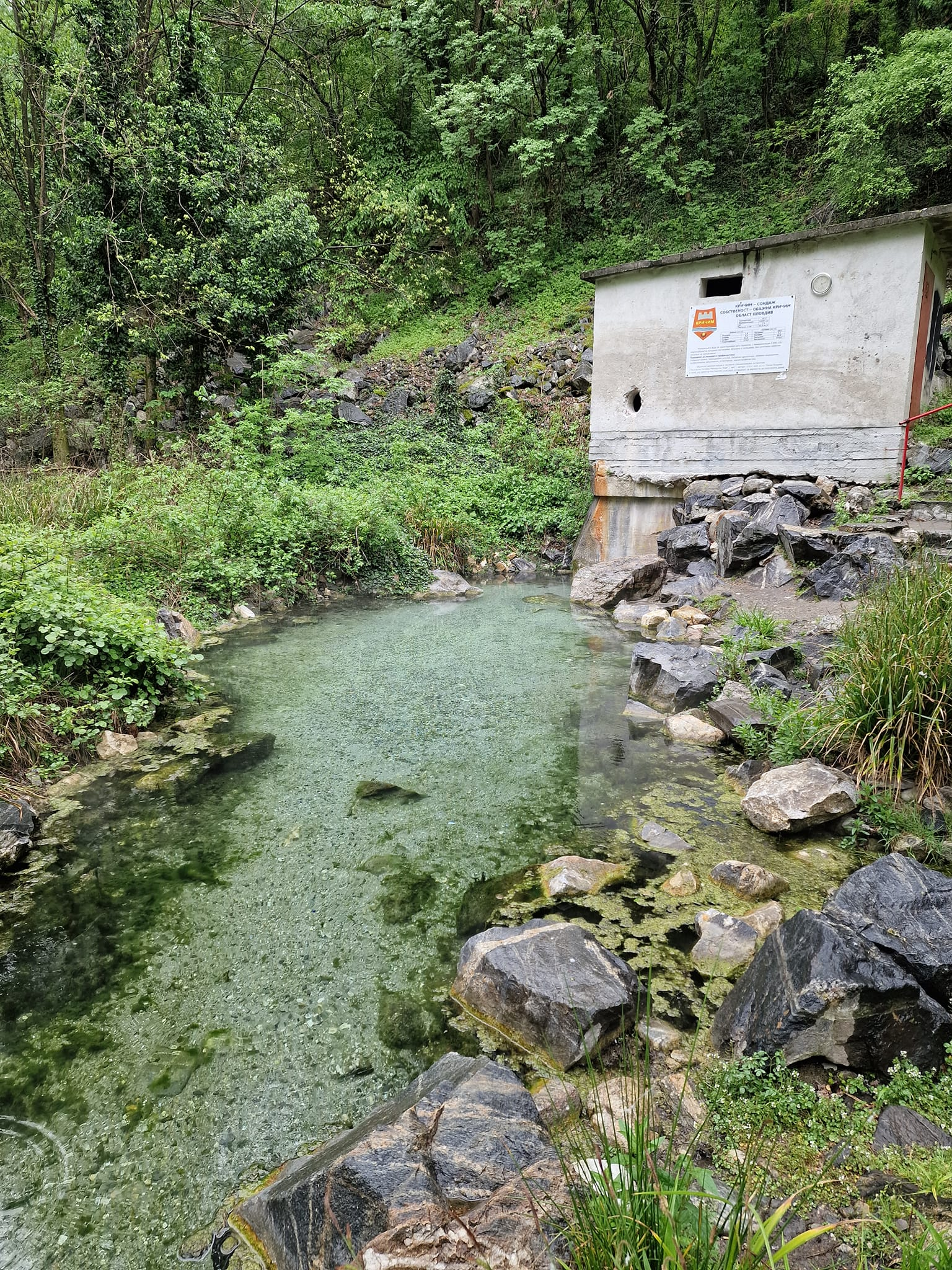 Голям Кричимски извор