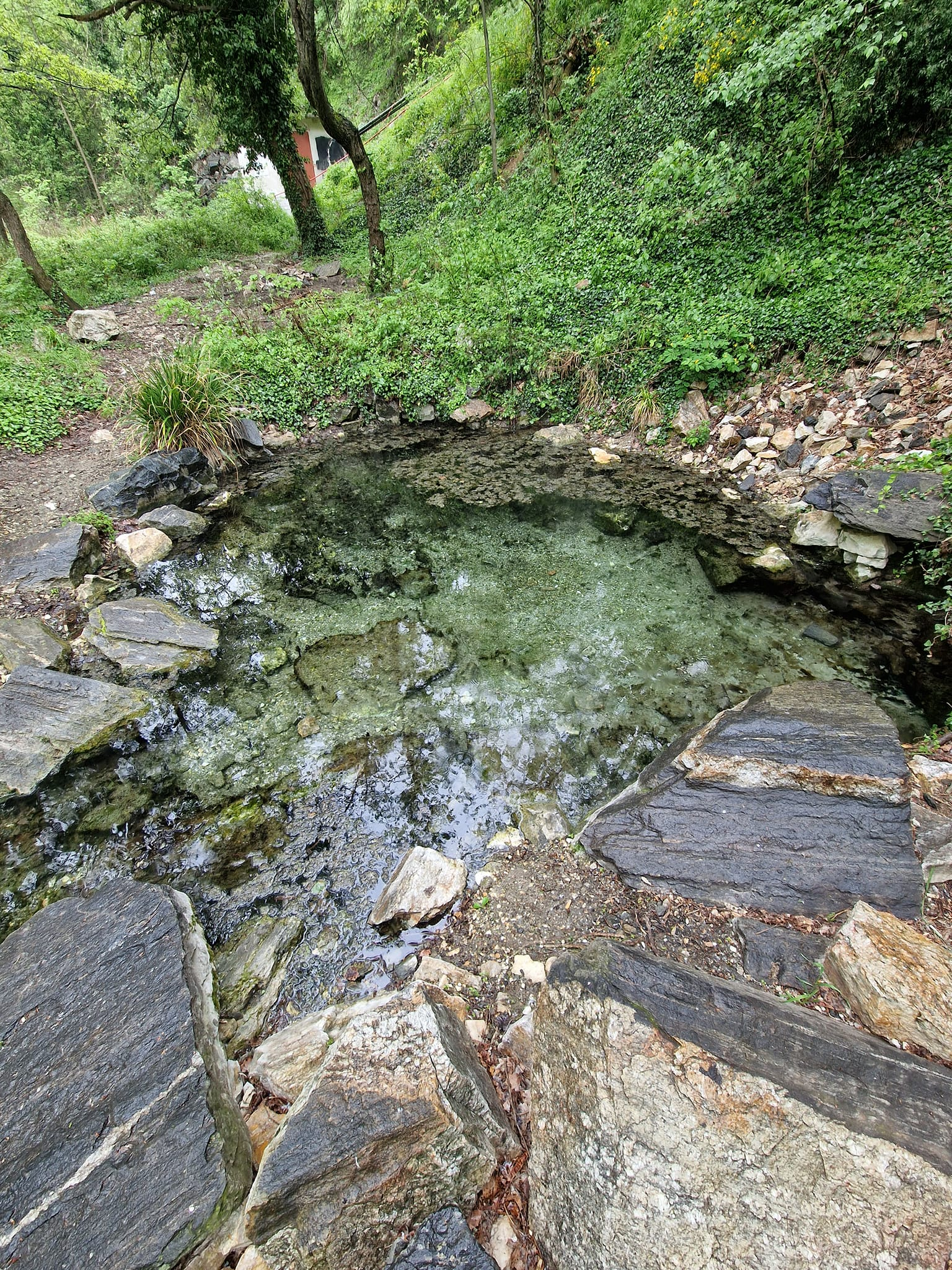 Малък Кричимски извор