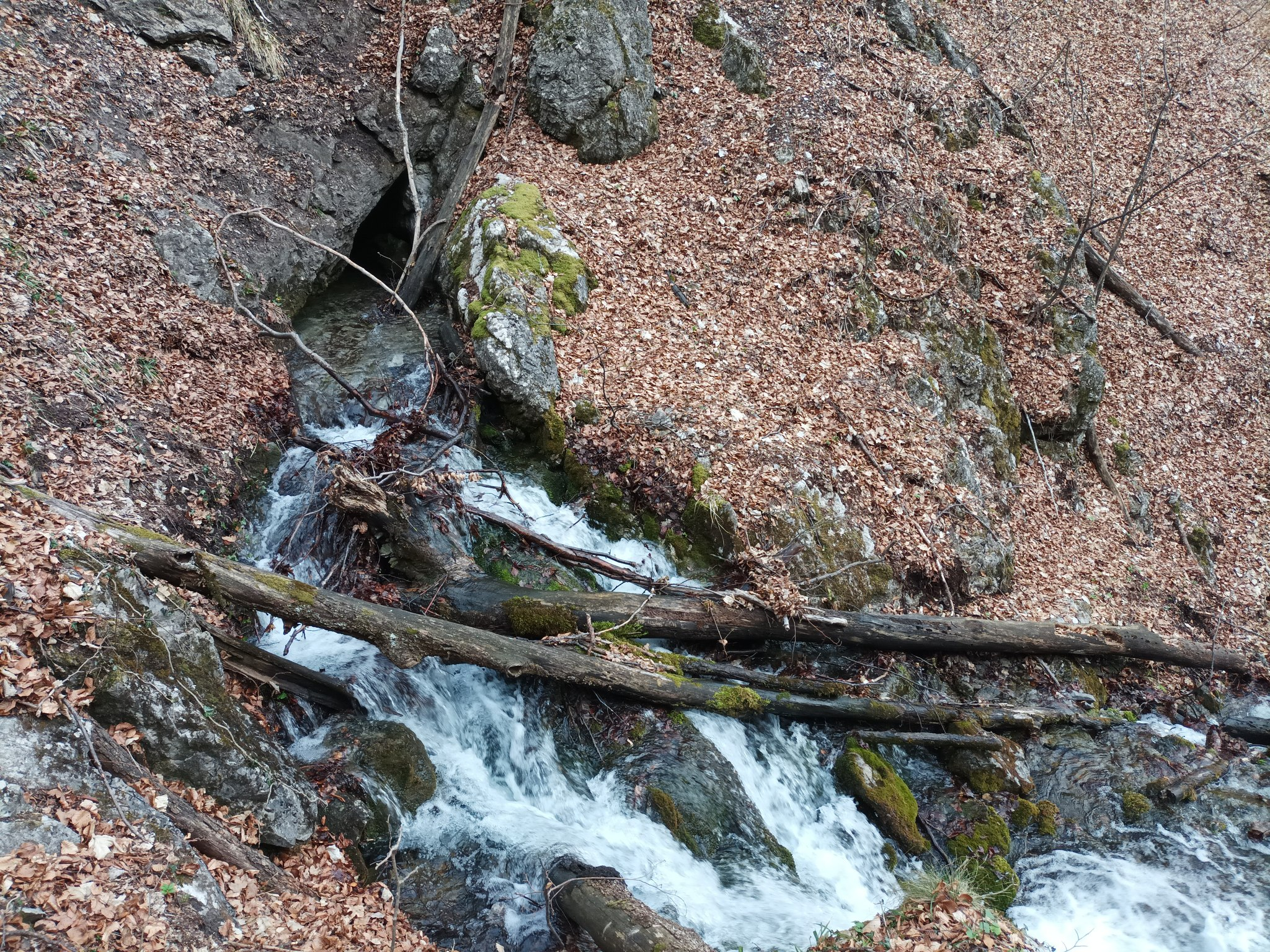 Извор Куру дере