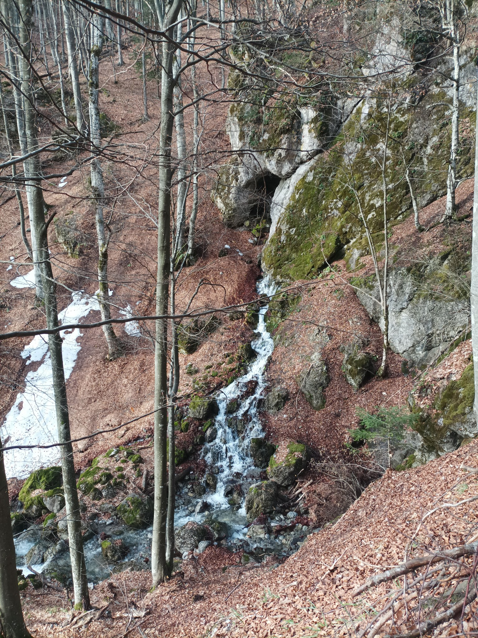 Извор Кюй дере