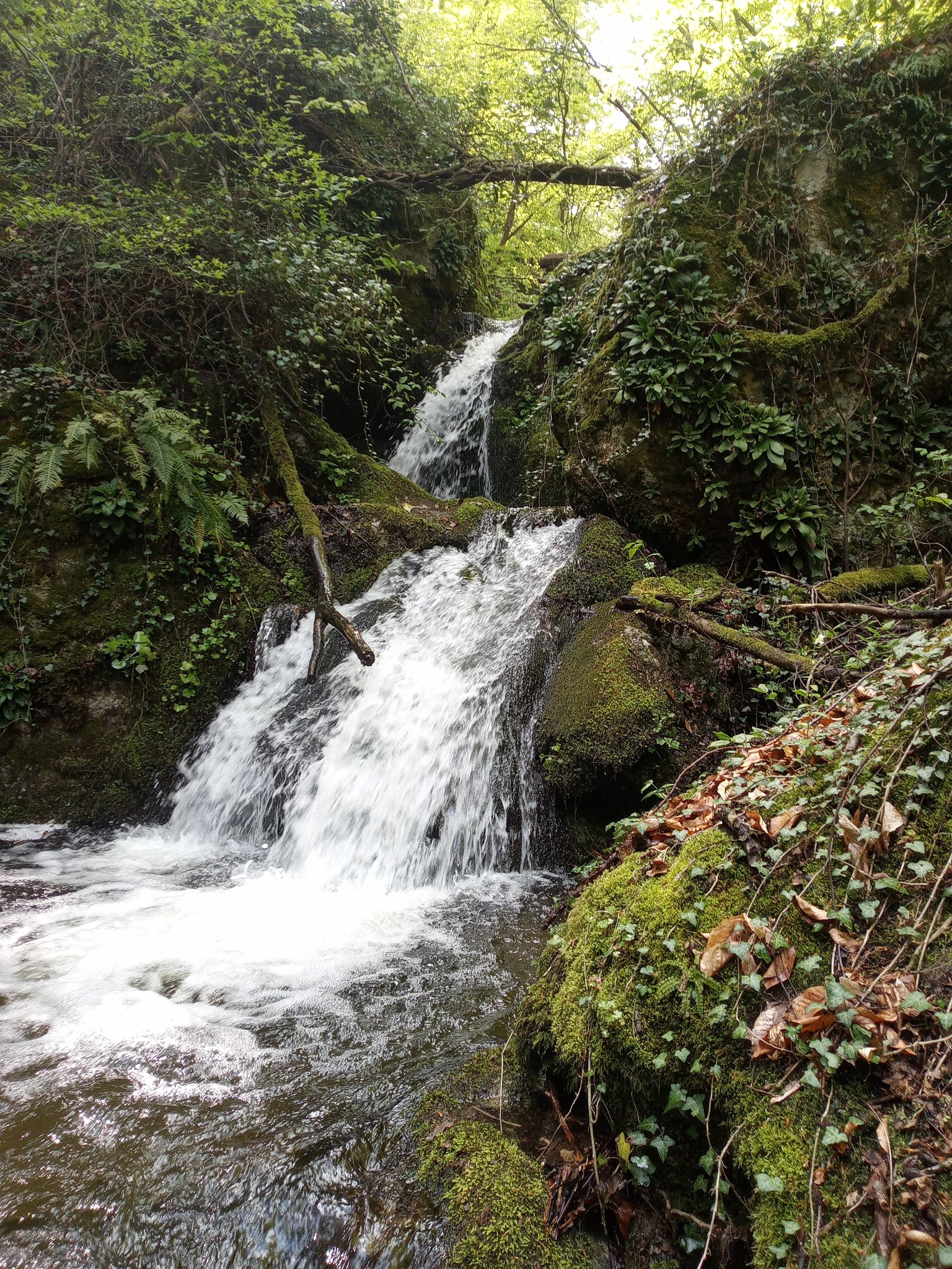 Водопад Средорека 2