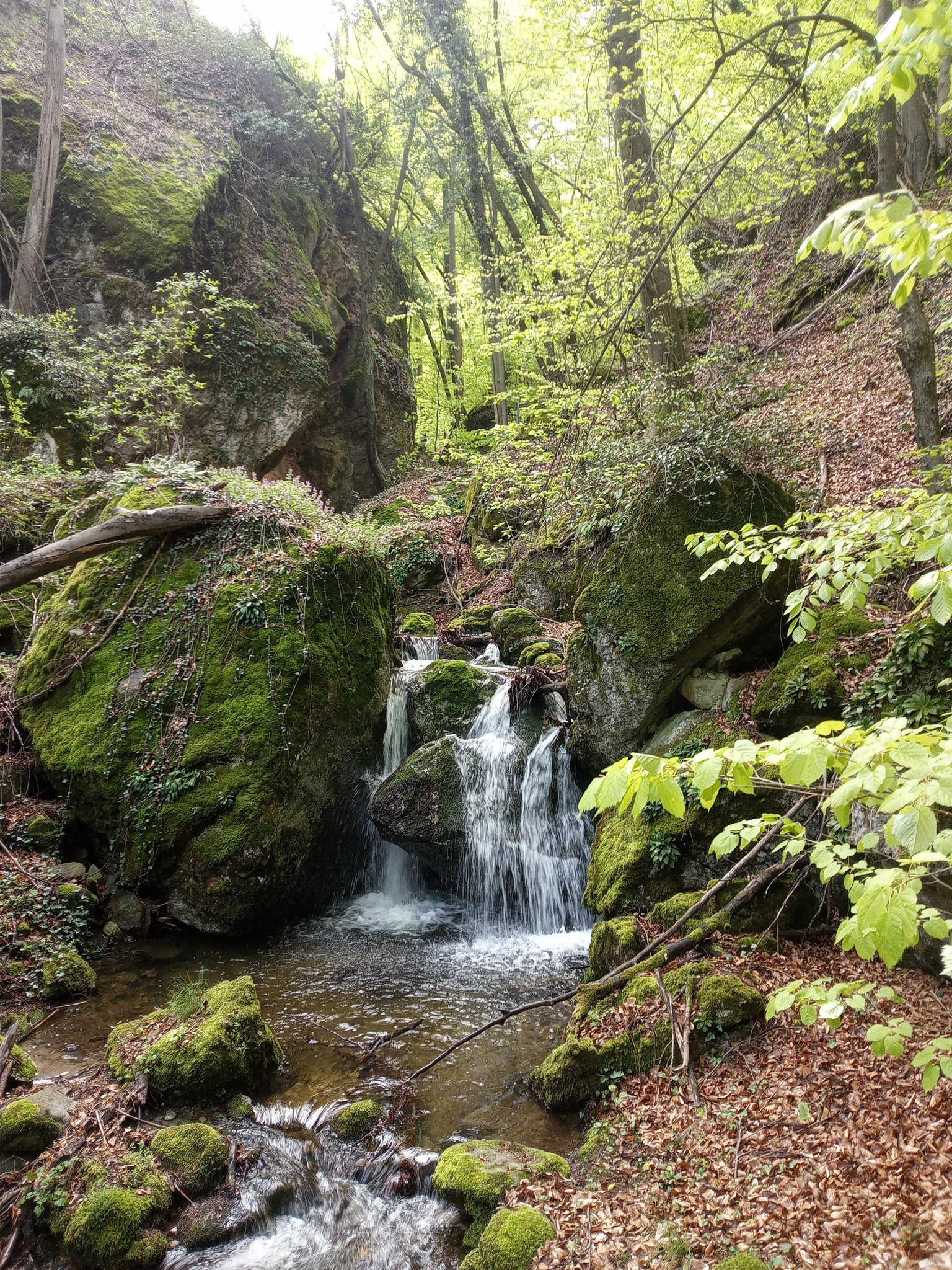 Долен водопад Средорека