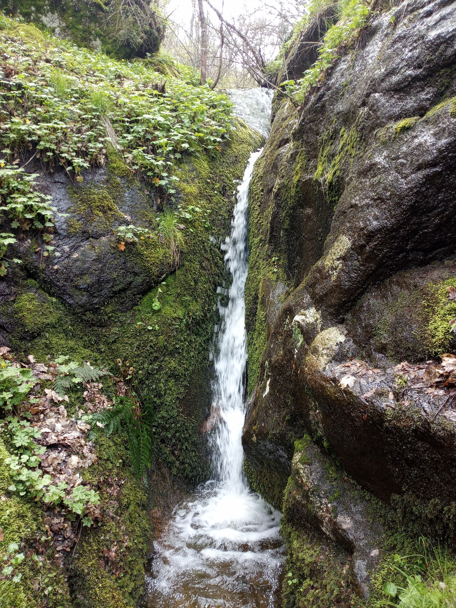 Горен водопад Средорека 