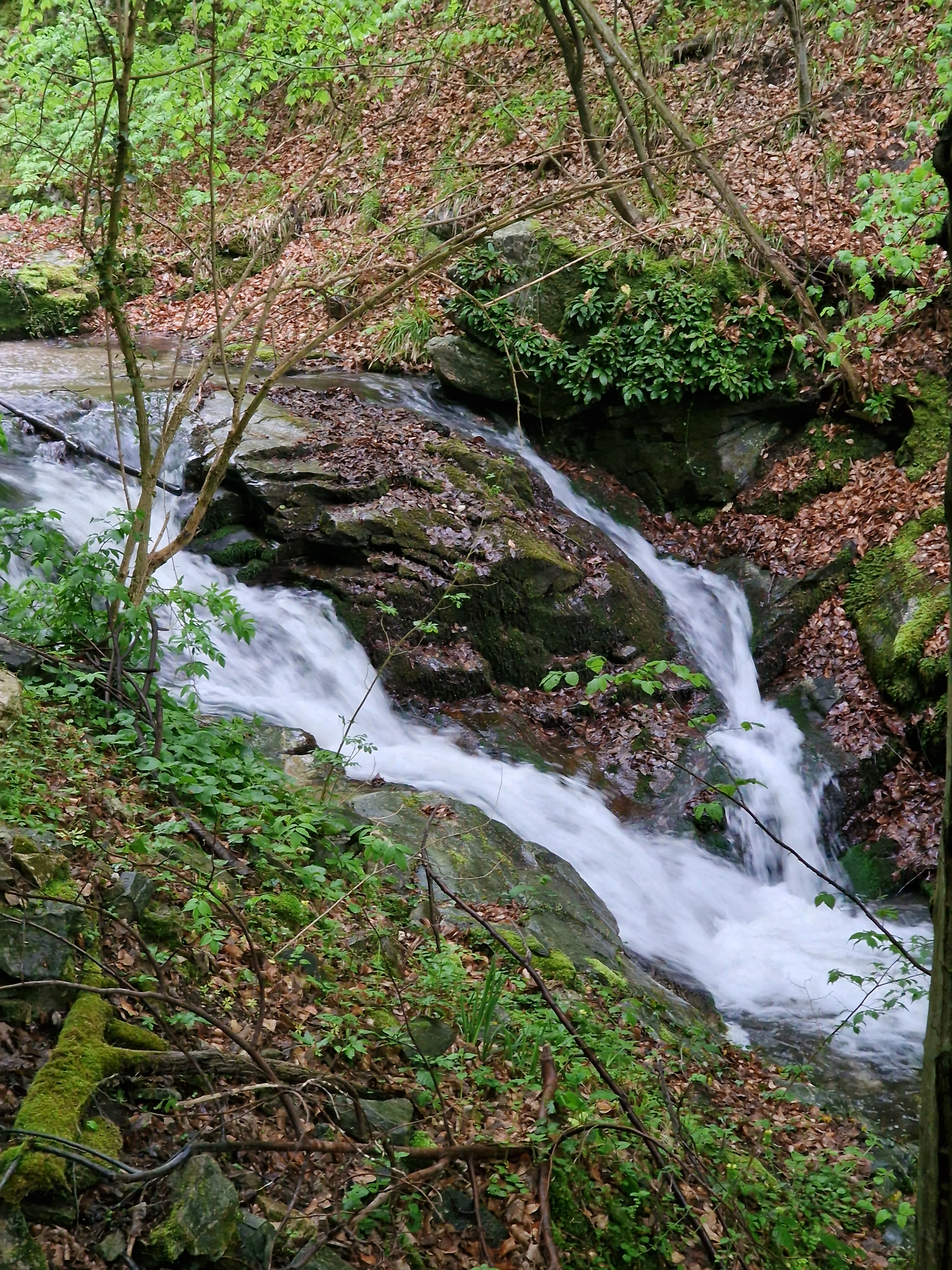 Горен праг Кознишка