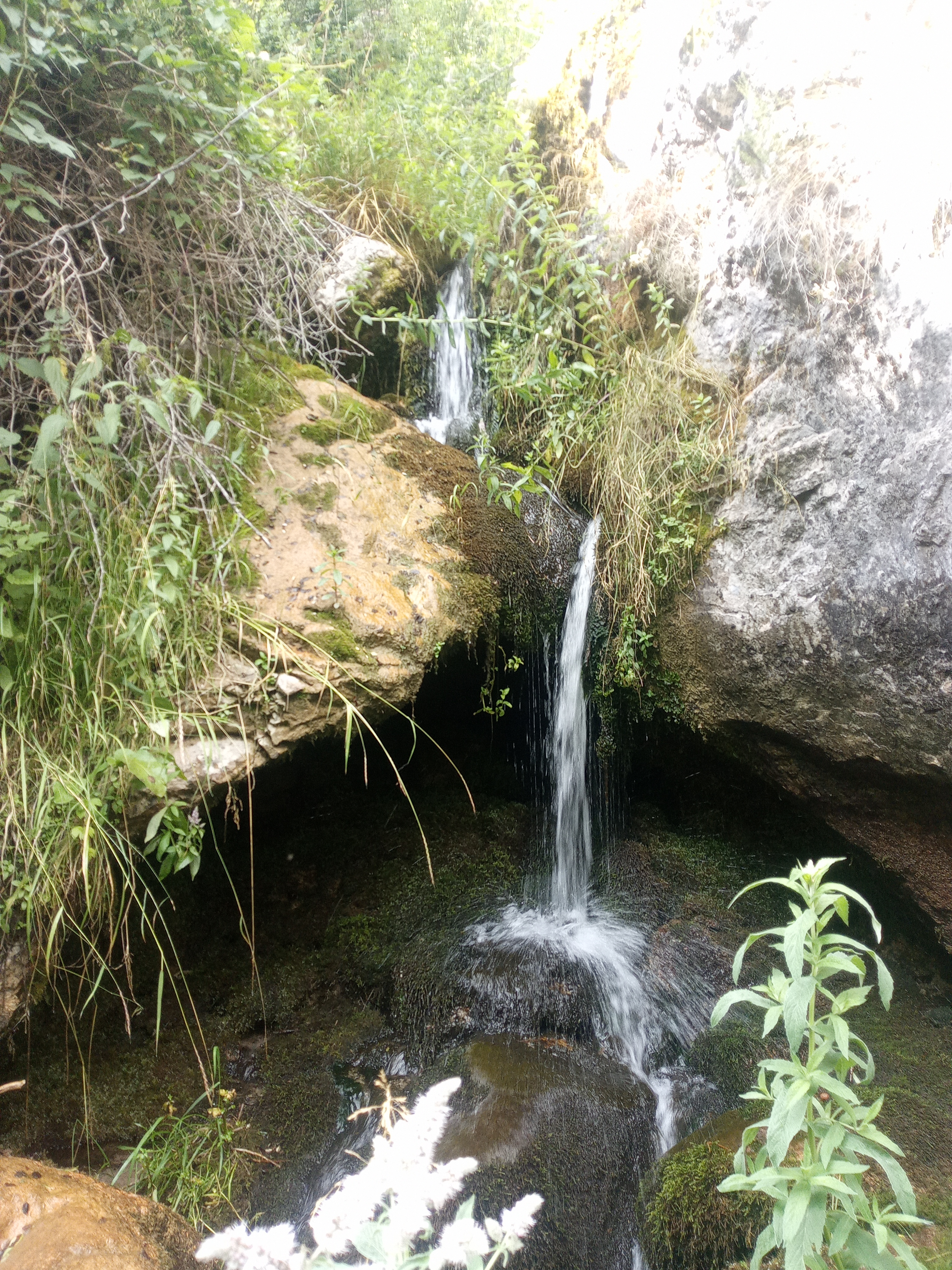 Долен водопад Селска река