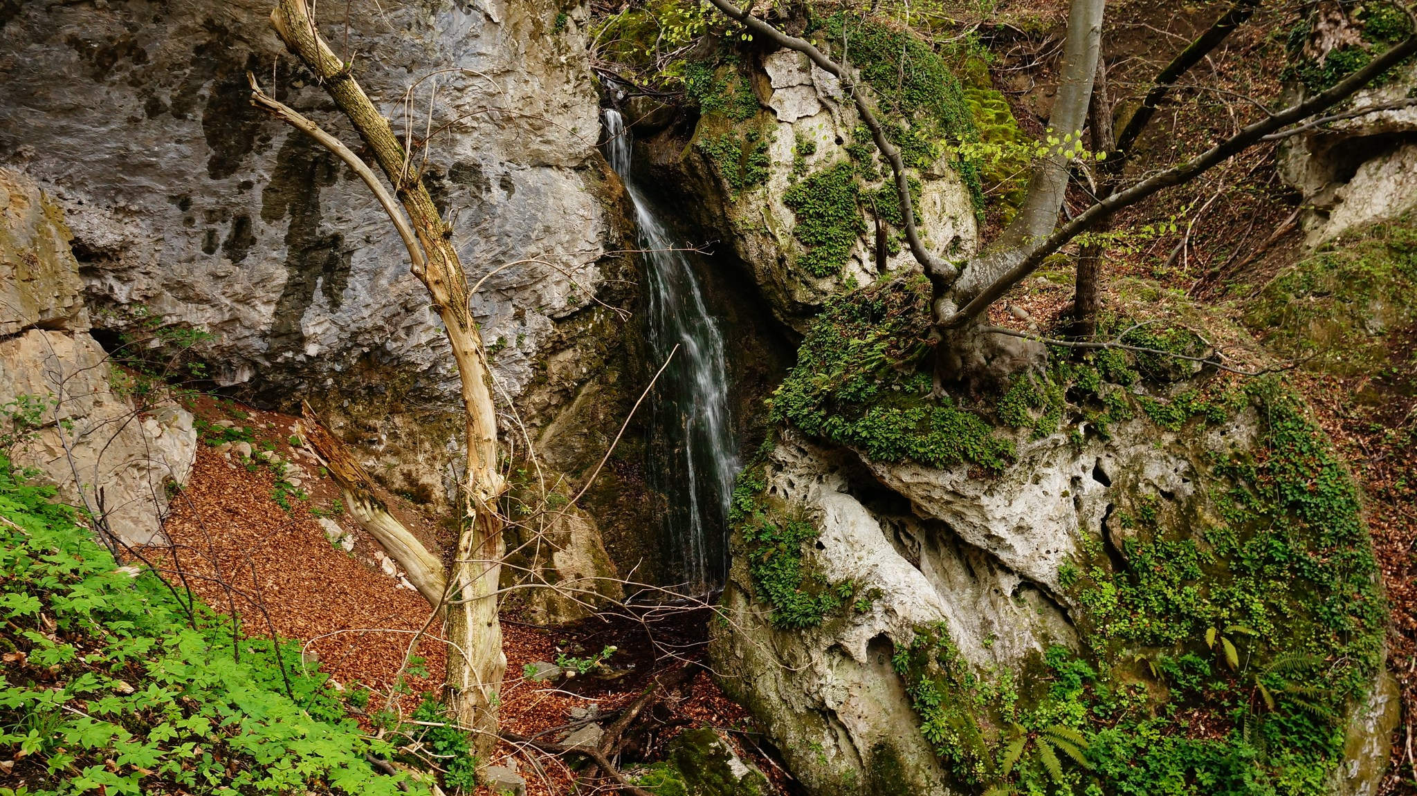 Водопад северен приток Малка Въча 3