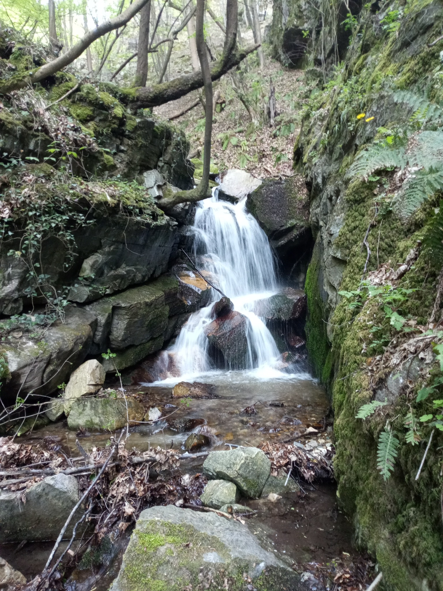 Водопад Папришка река 2