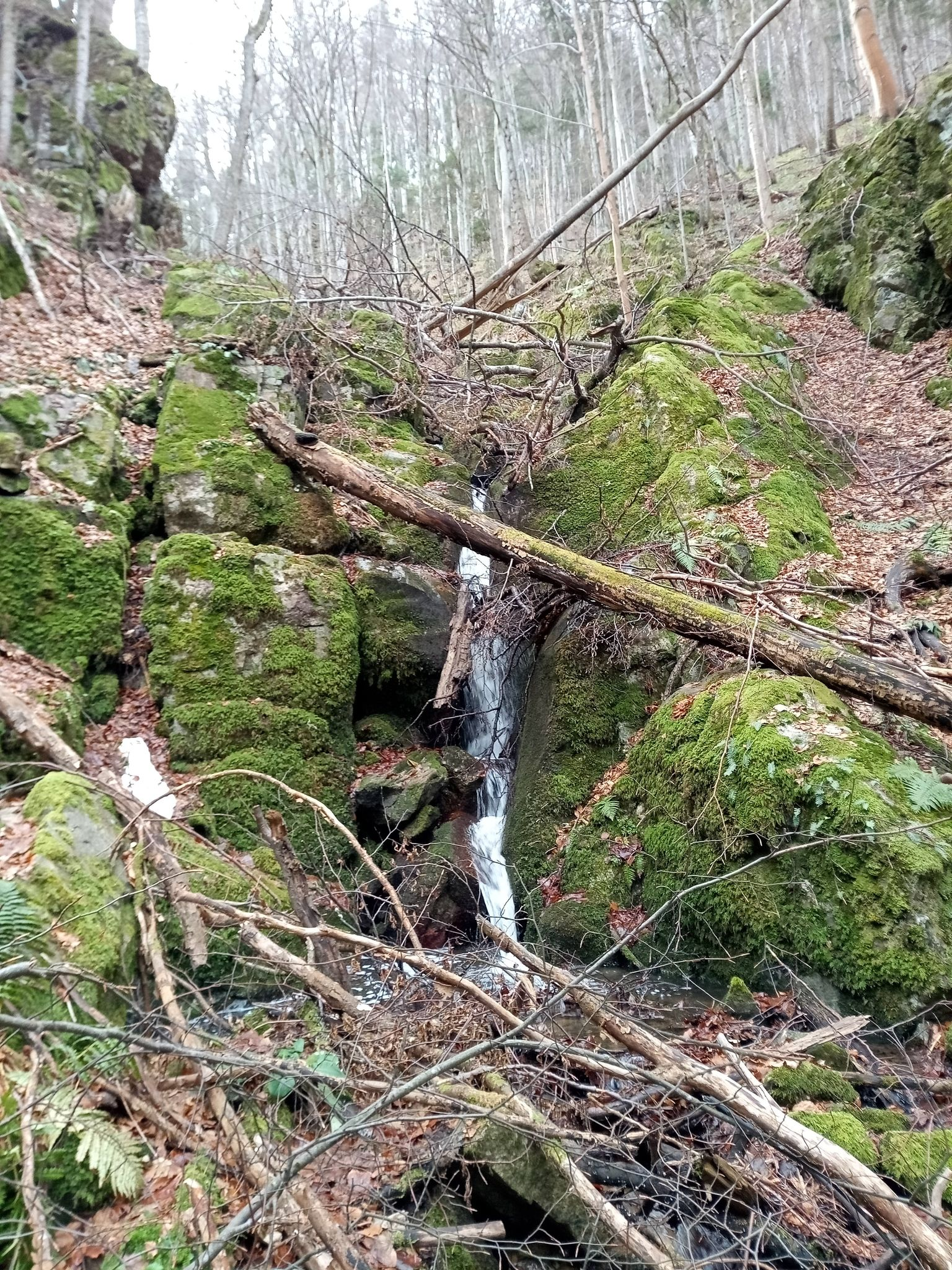Горен водопад Пандово дере
