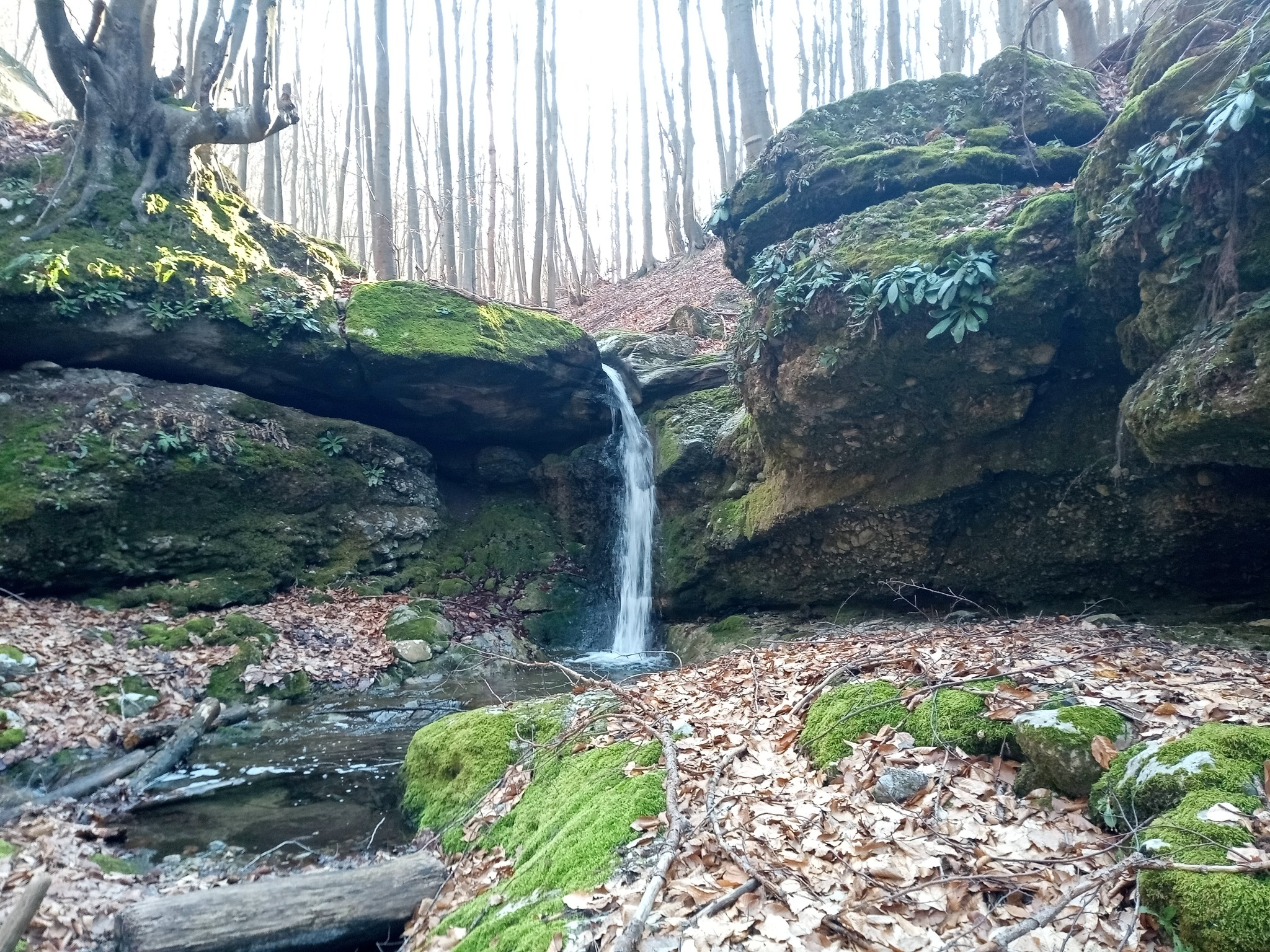 Водопад Голяма Сушица 4