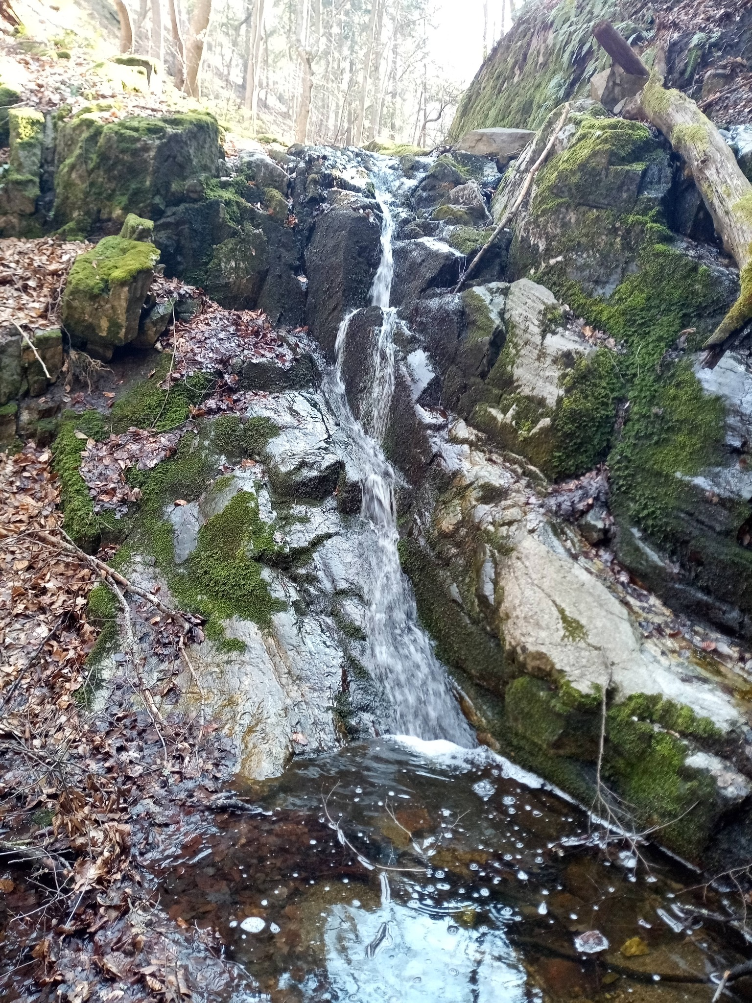 Долен водопад ляв приток Лещарица