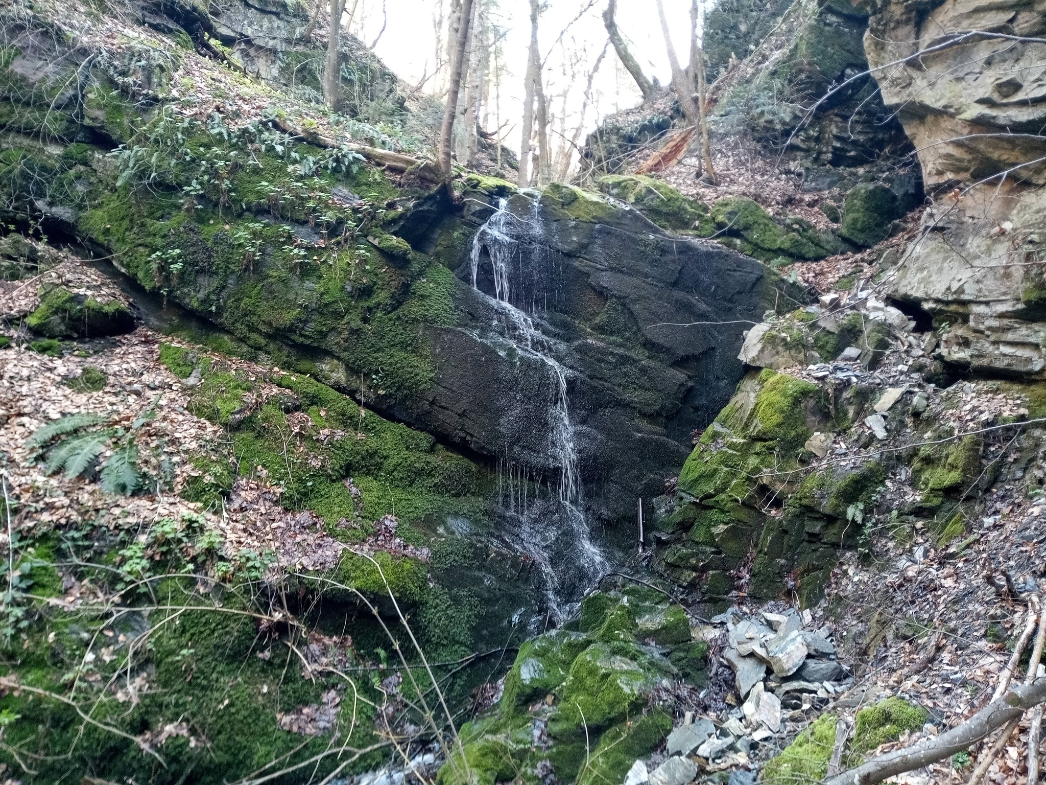 Водопад ляв приток Лещарица 2