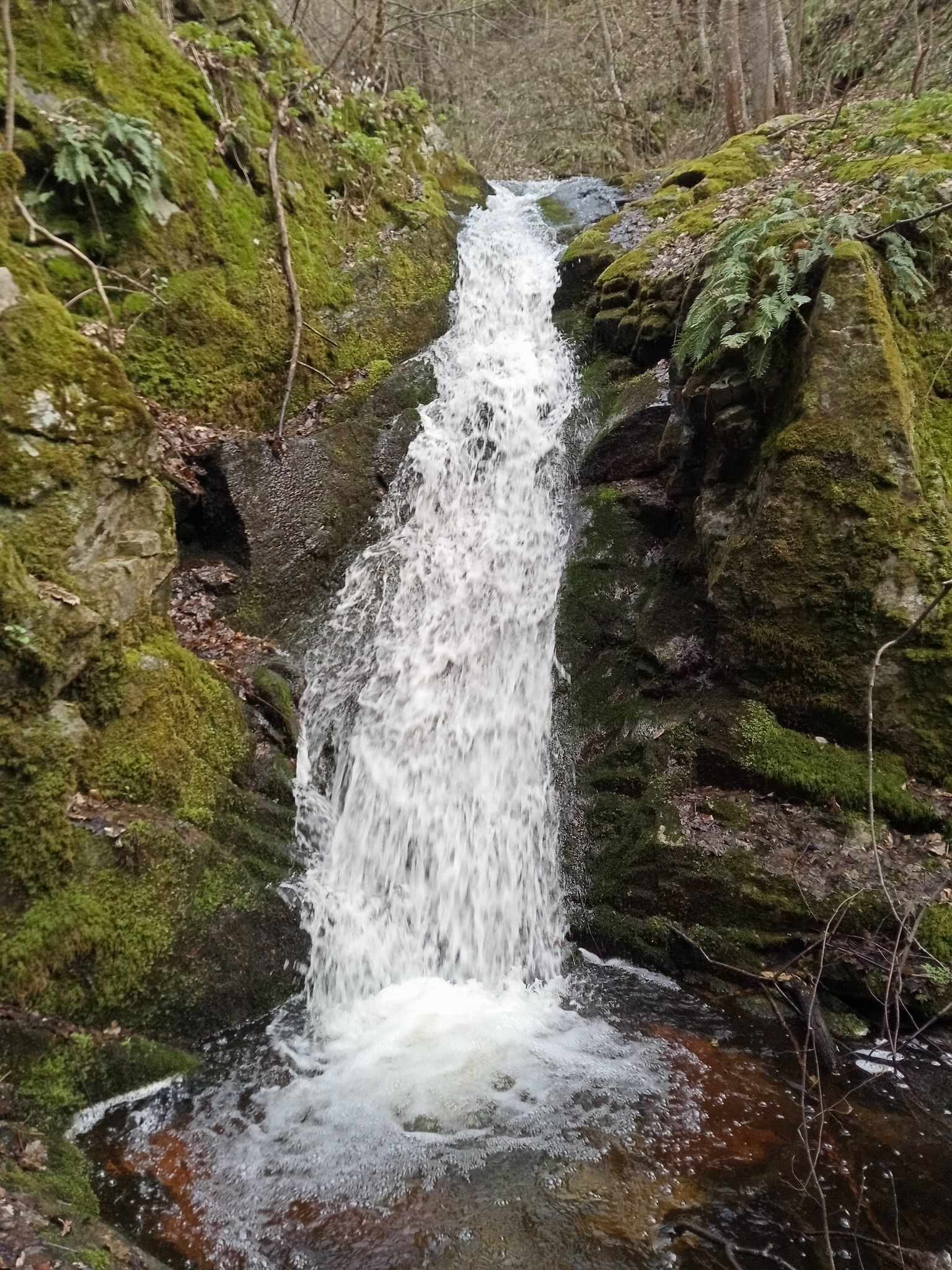 Лещаришки водопад