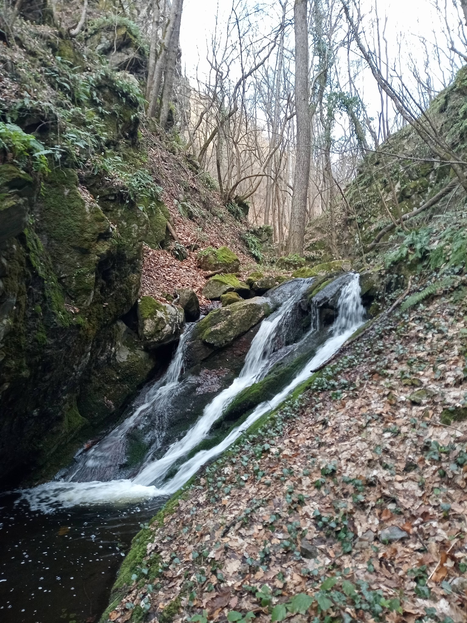 Водопад Трите струи