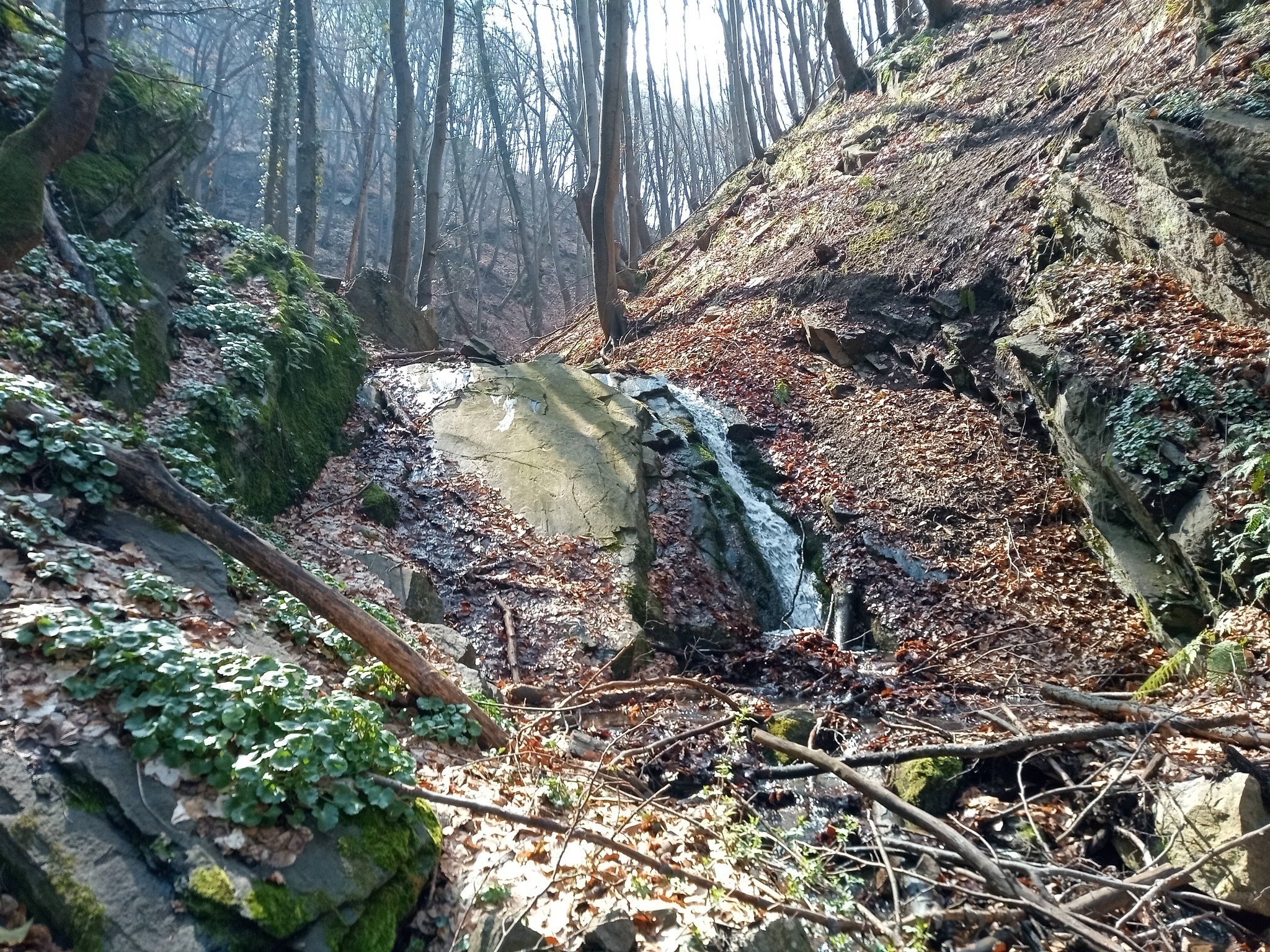 Водопад Връщика