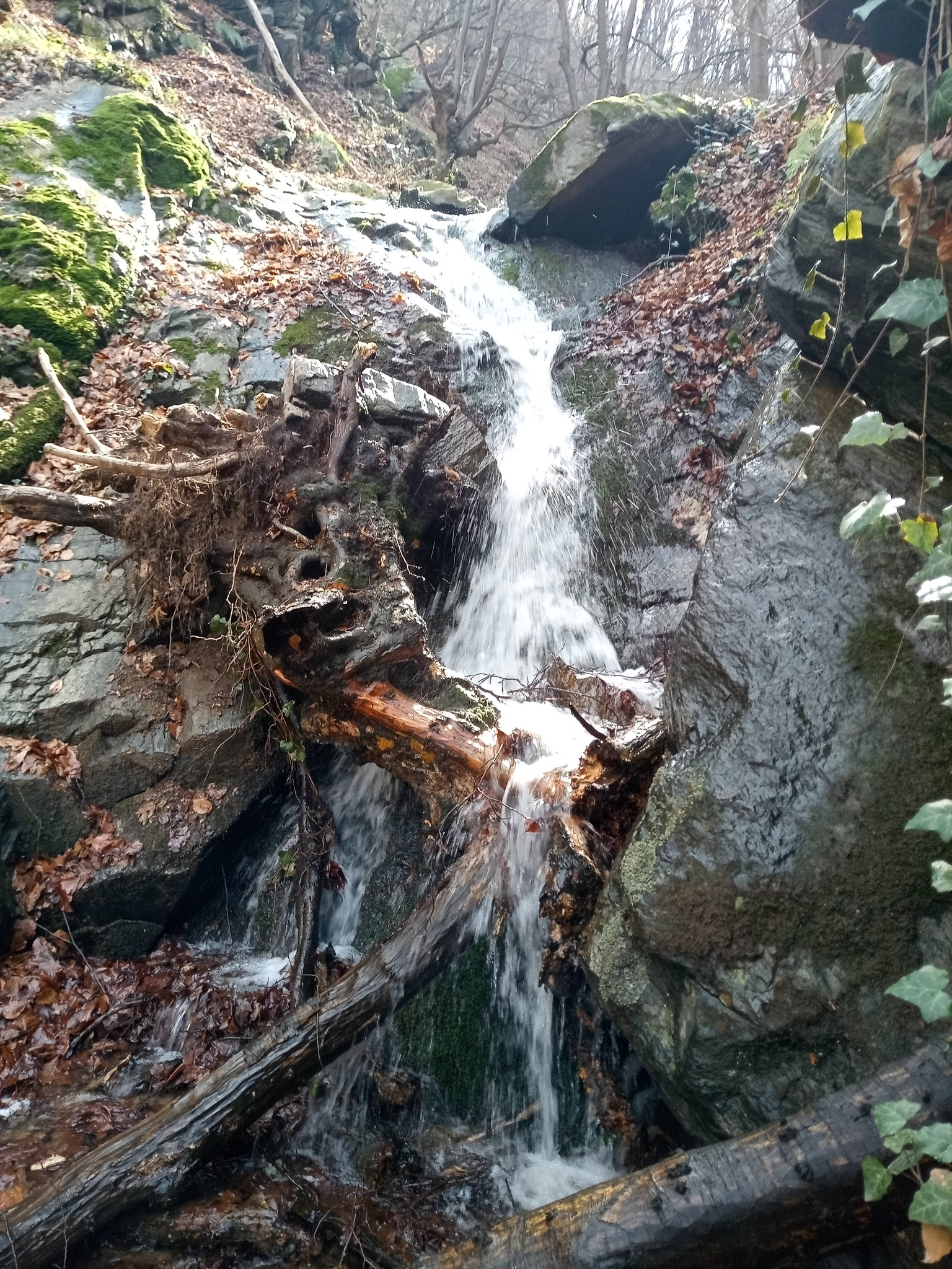 Долен Ерменски водопад