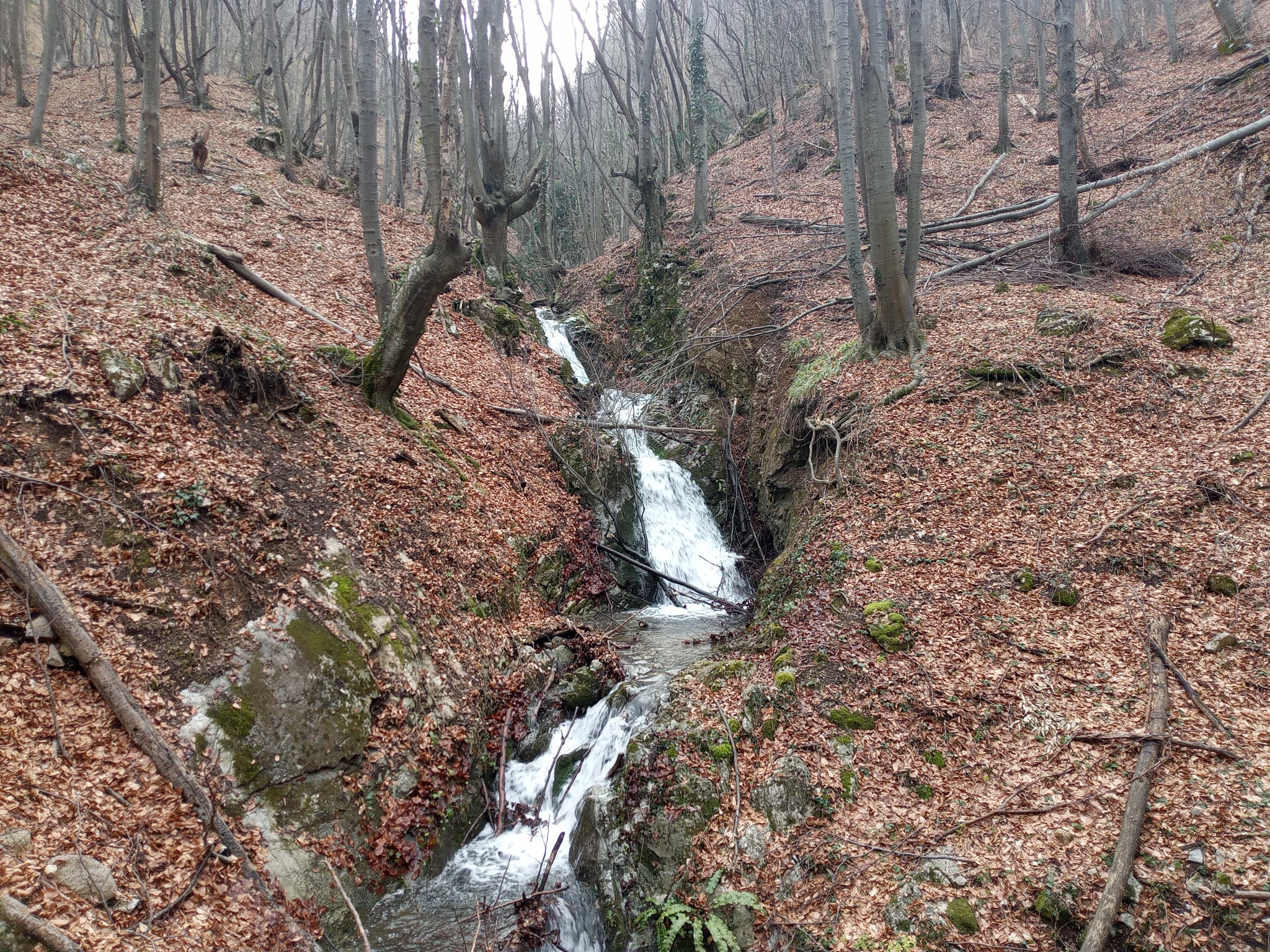 Праг Кривото дере