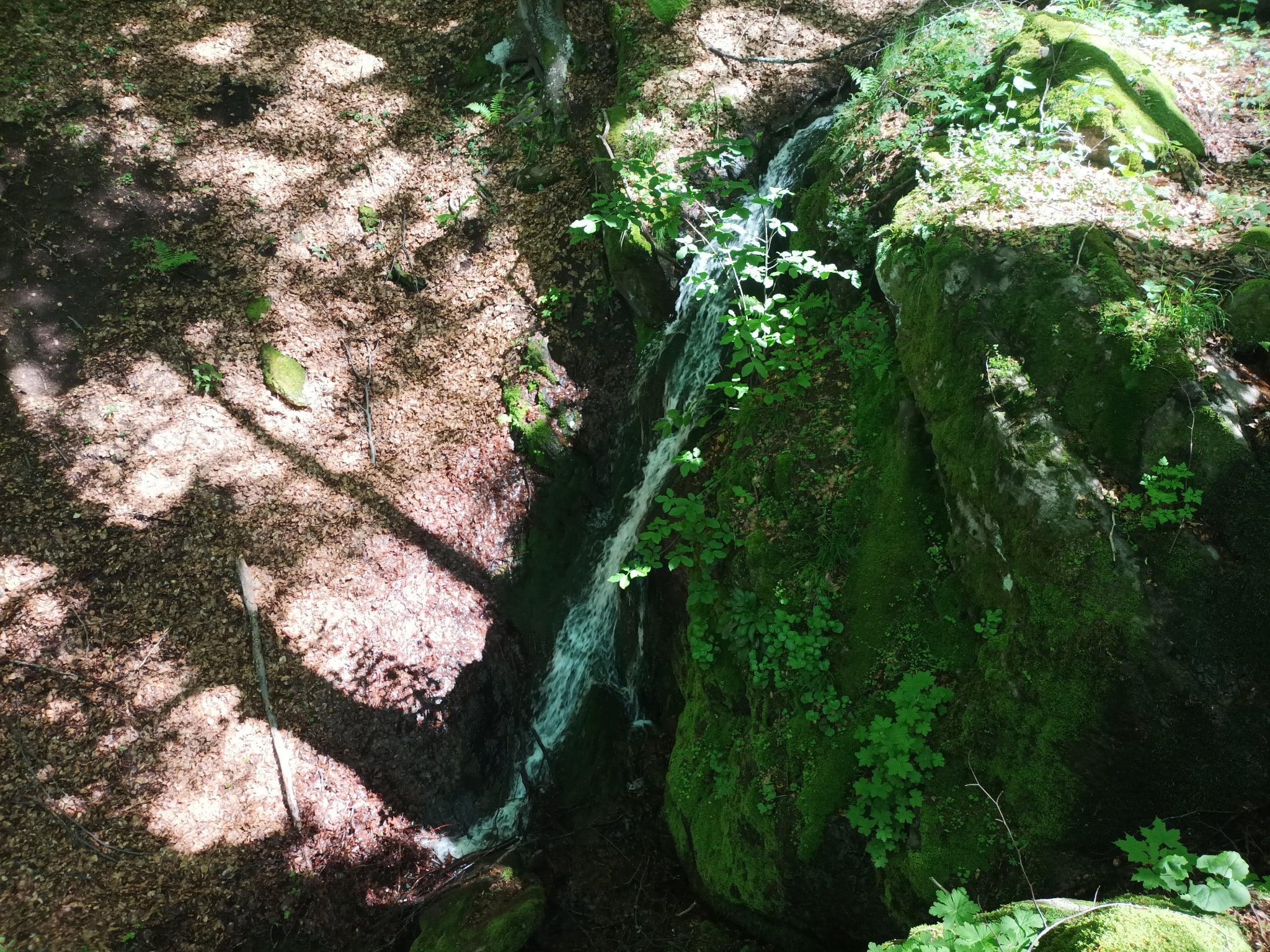 Горен водопад вада Ашината поляна