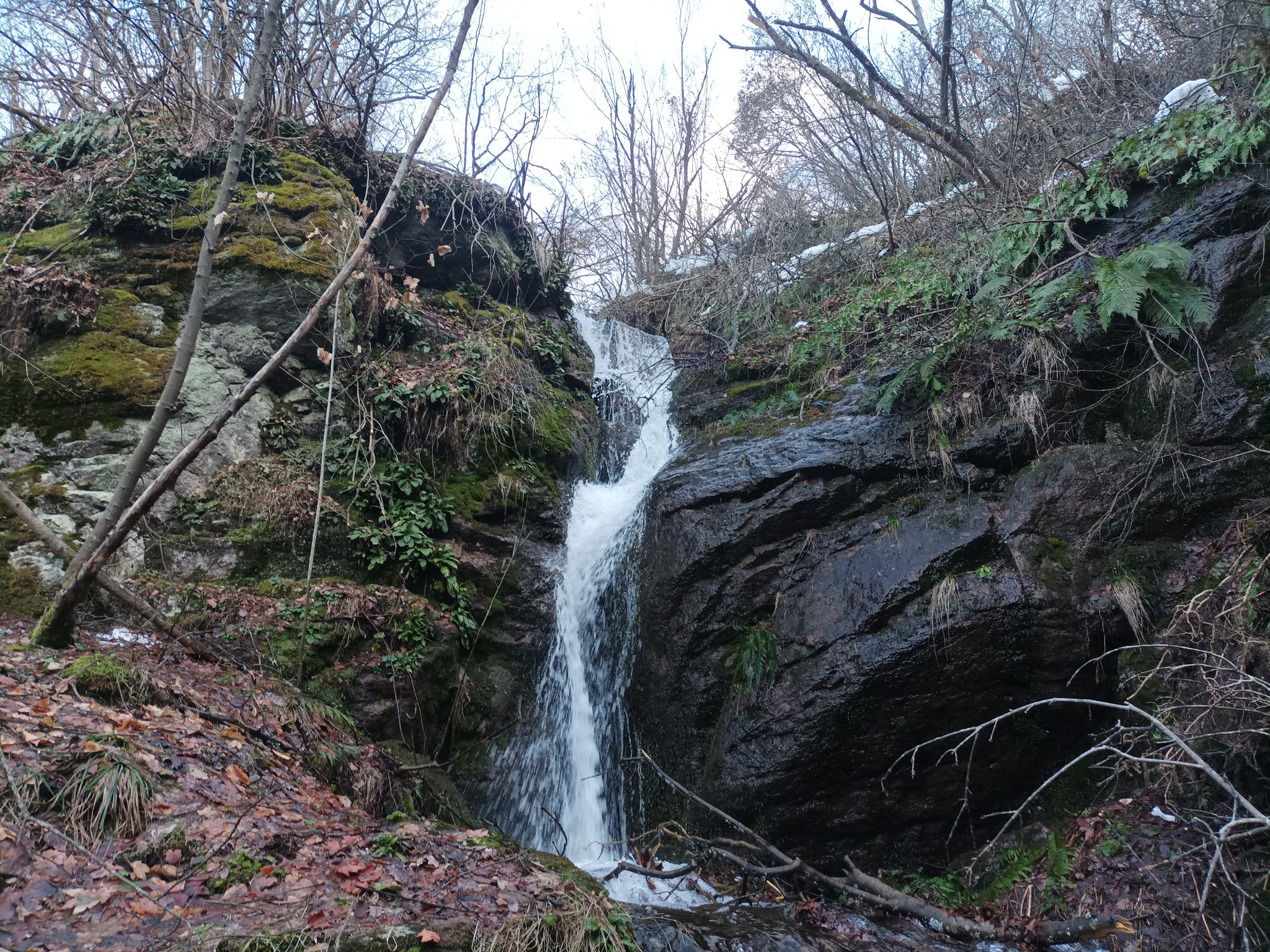 Горен водопад вада Кошута
