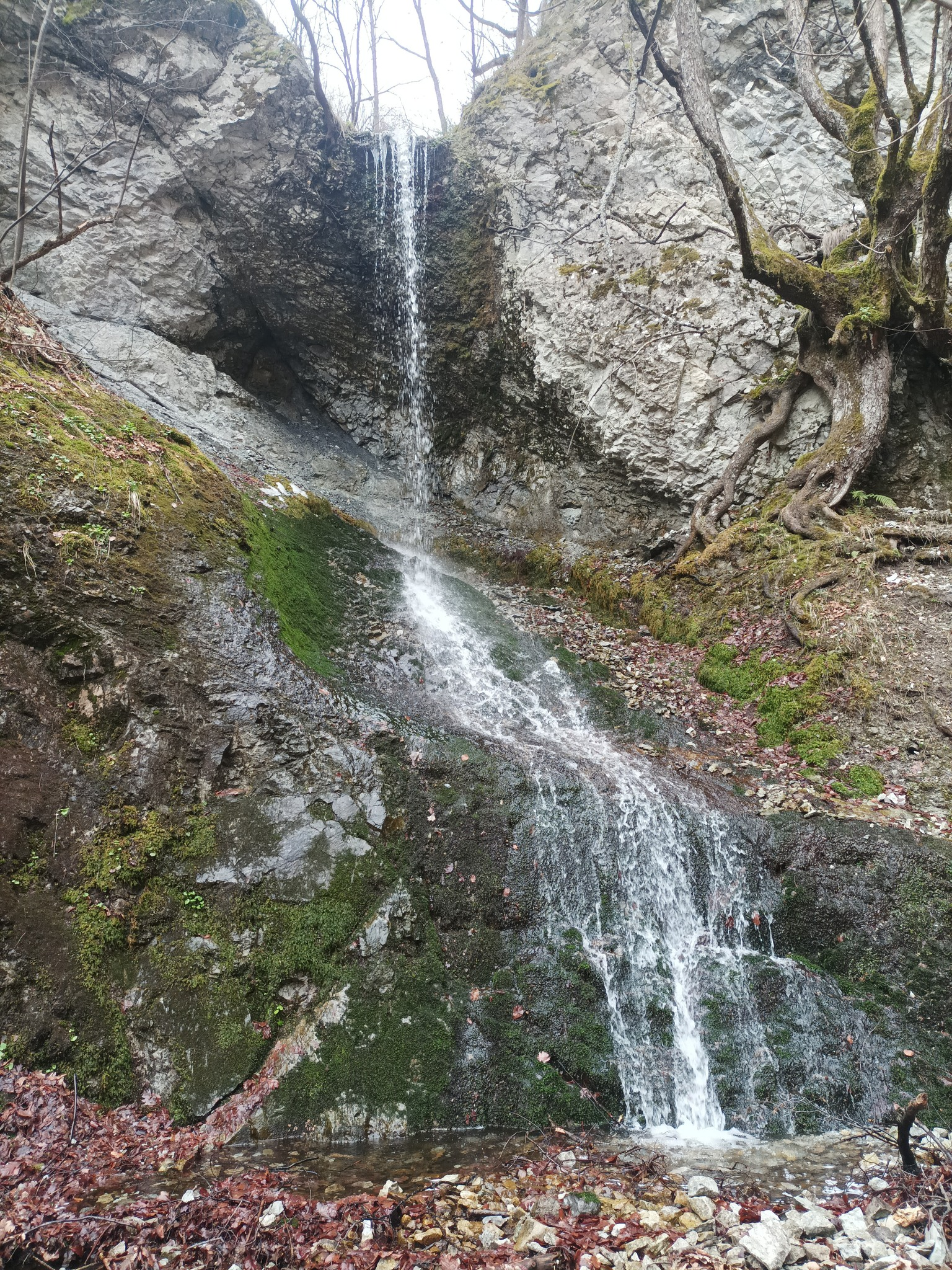 Горен водопад Краставото дере